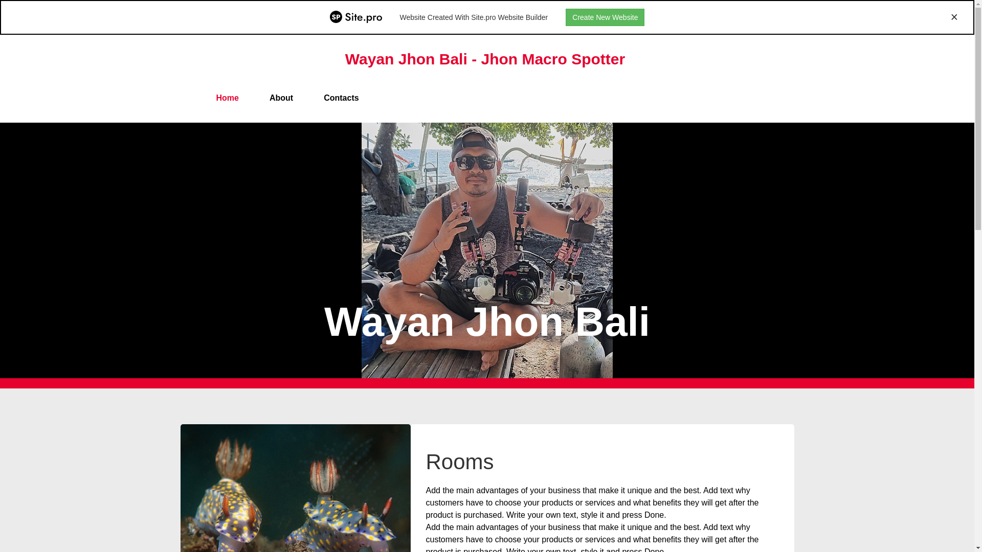 website screenshot of https://wayanjhonbali.com/
