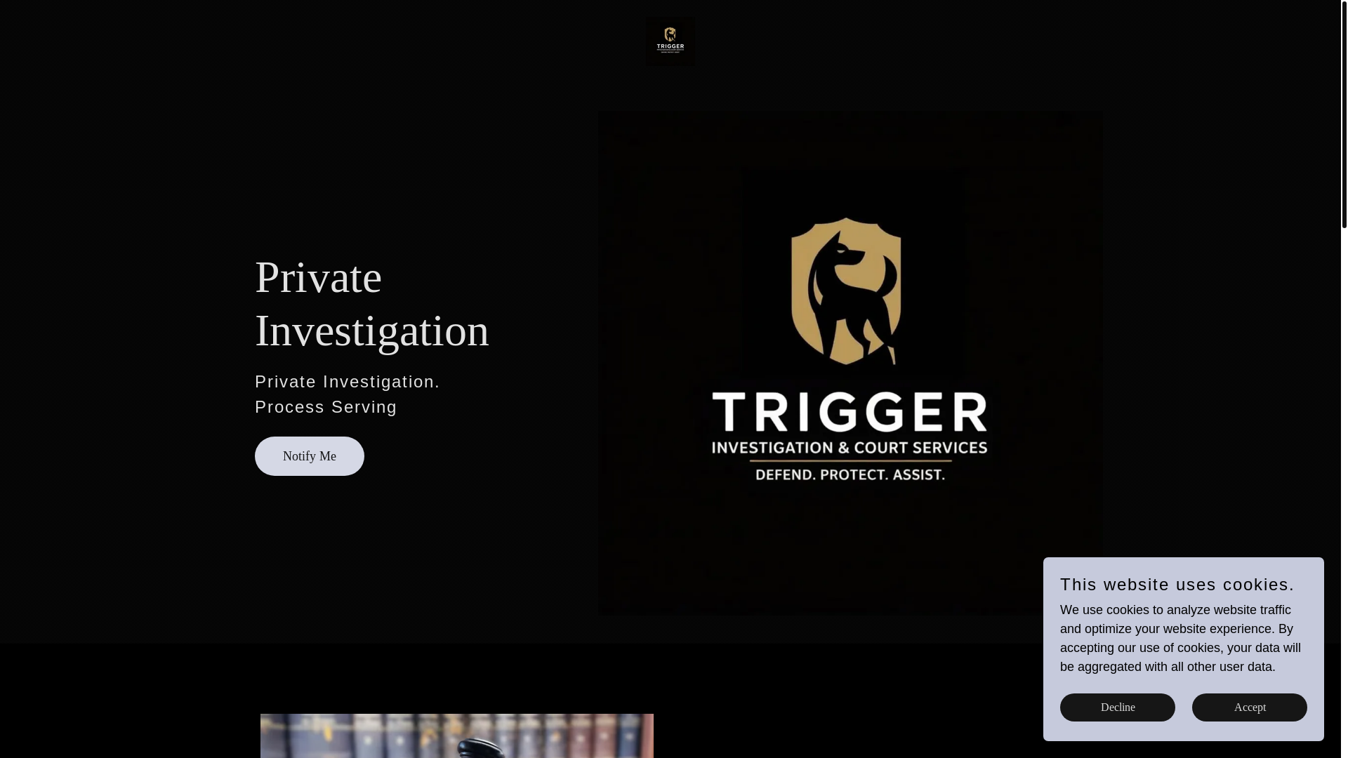 website screenshot of https://triggercourtservices.com/
