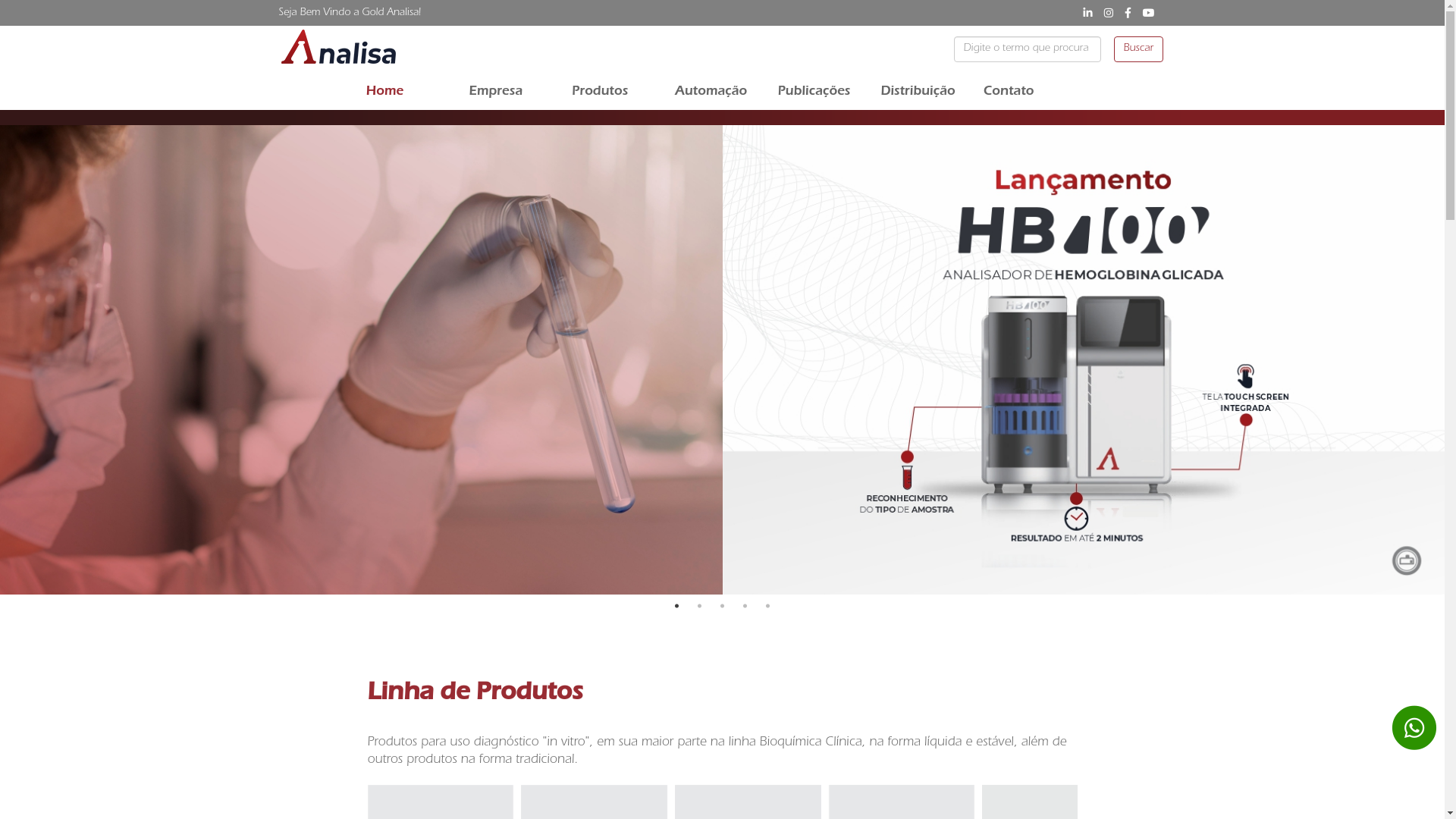website screenshot of https://analisadx.com.br/