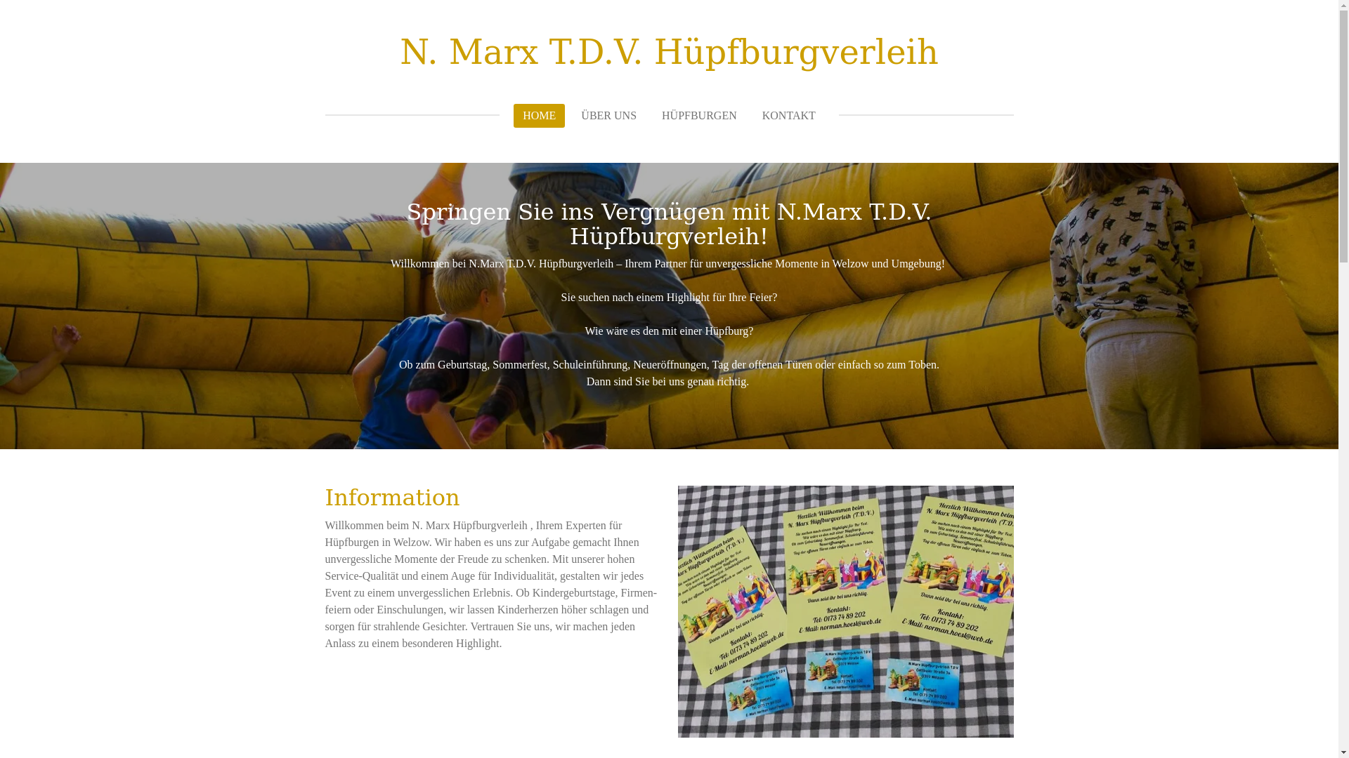 website screenshot of https://nmarxtdvhaus-gartenservice.de/
