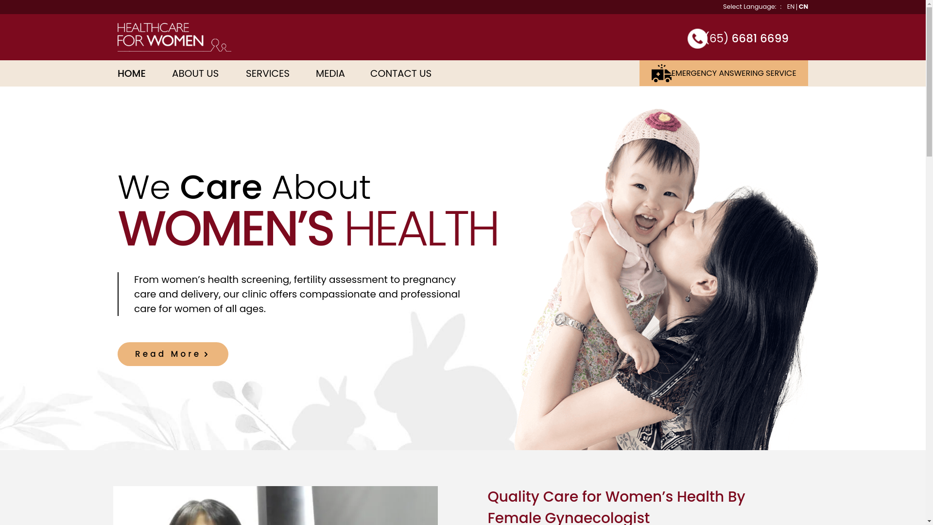 website screenshot of https://healthcare-for-women-pte-ltd-2021.pages.dev/