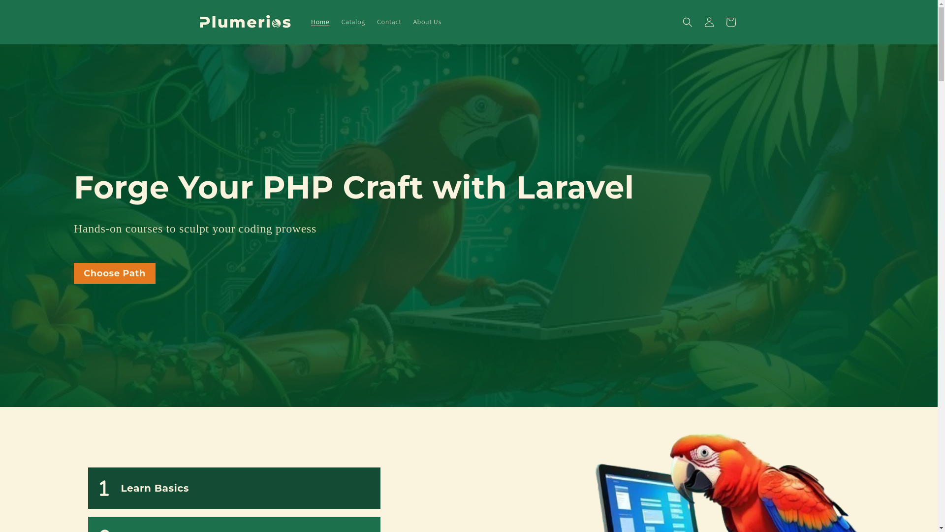 website screenshot of https://plumerios.us/