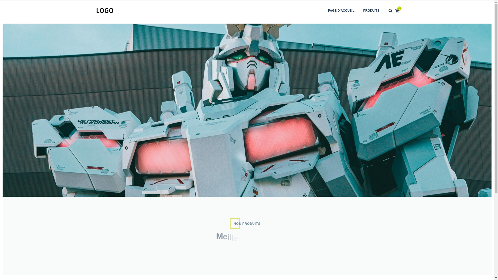 website screenshot of https://leadersportsfactory.com/