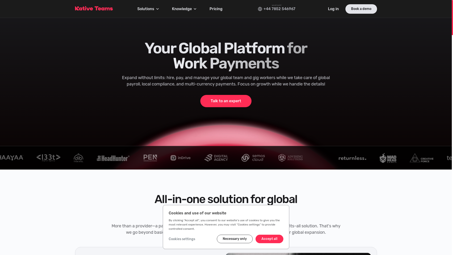website screenshot of https://mynativeteams.com/
