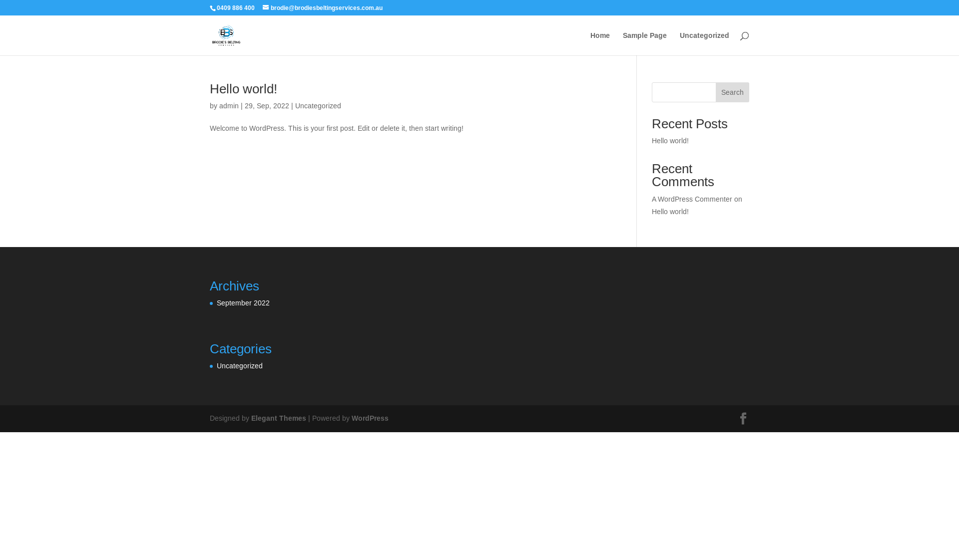 website screenshot of https://brodiesbeltingservices.online/