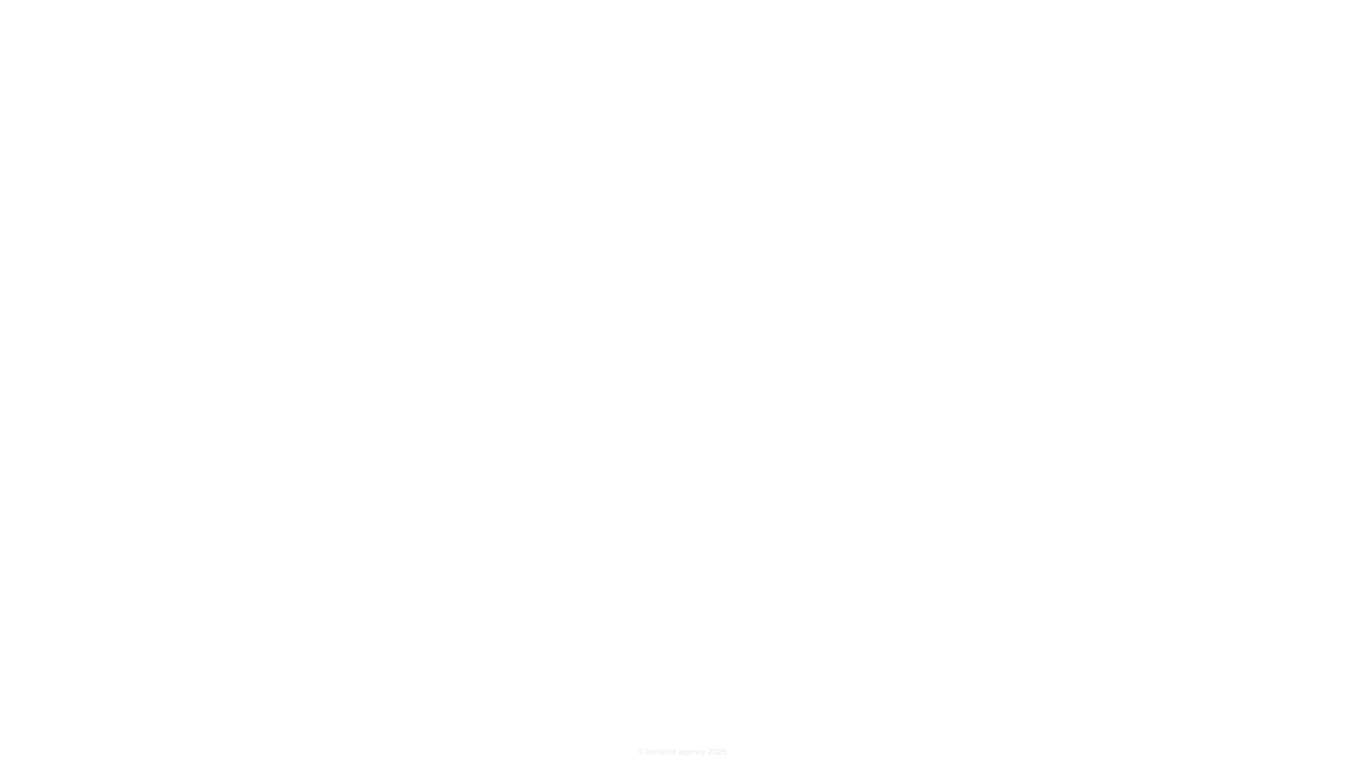 website screenshot of https://fernlicht.agency/