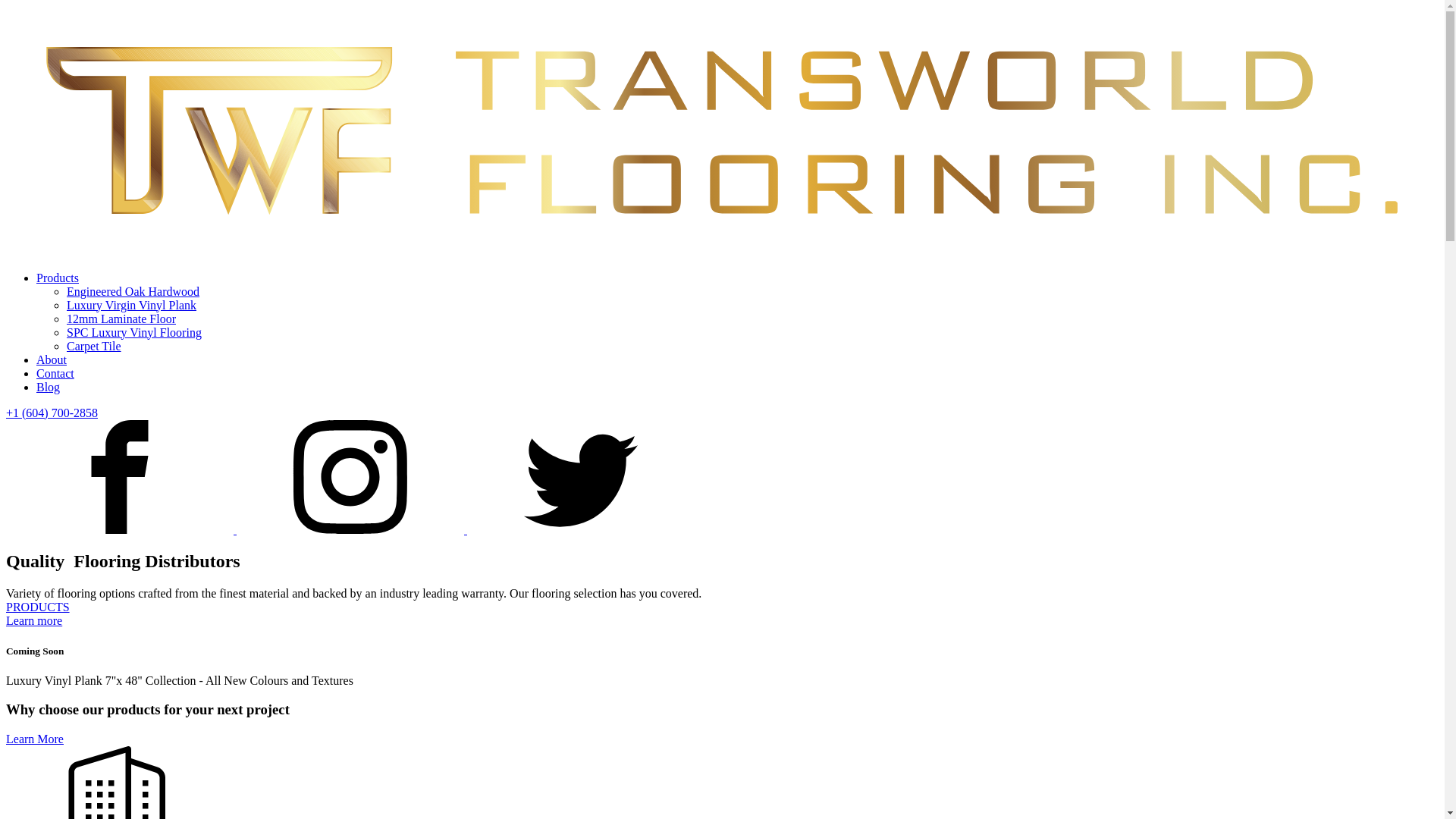 website screenshot of https://transworldflooring-com.pages.dev/