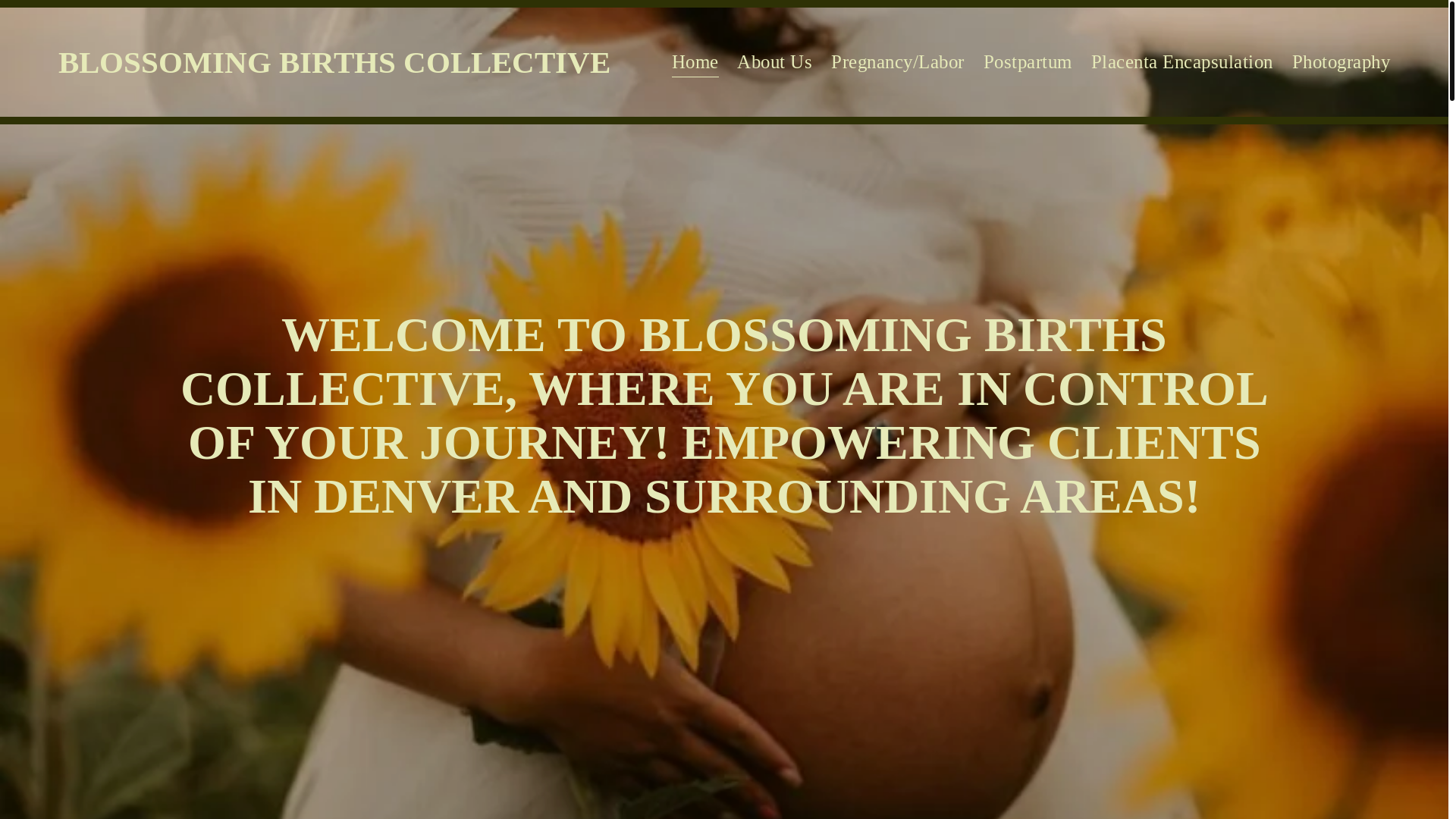website screenshot of https://blossomingbirthscollective.com/