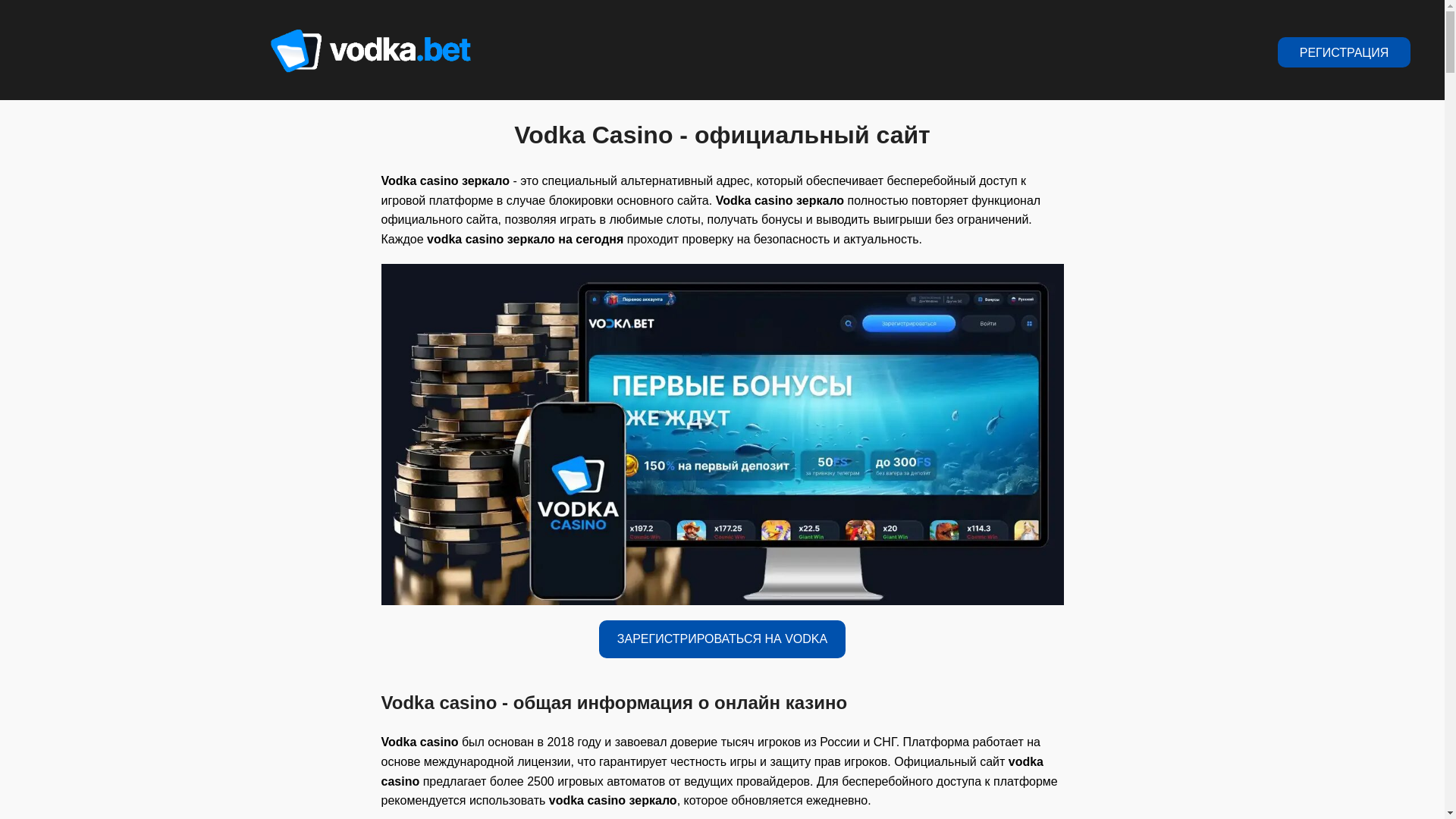 website screenshot of https://vodka069.top/