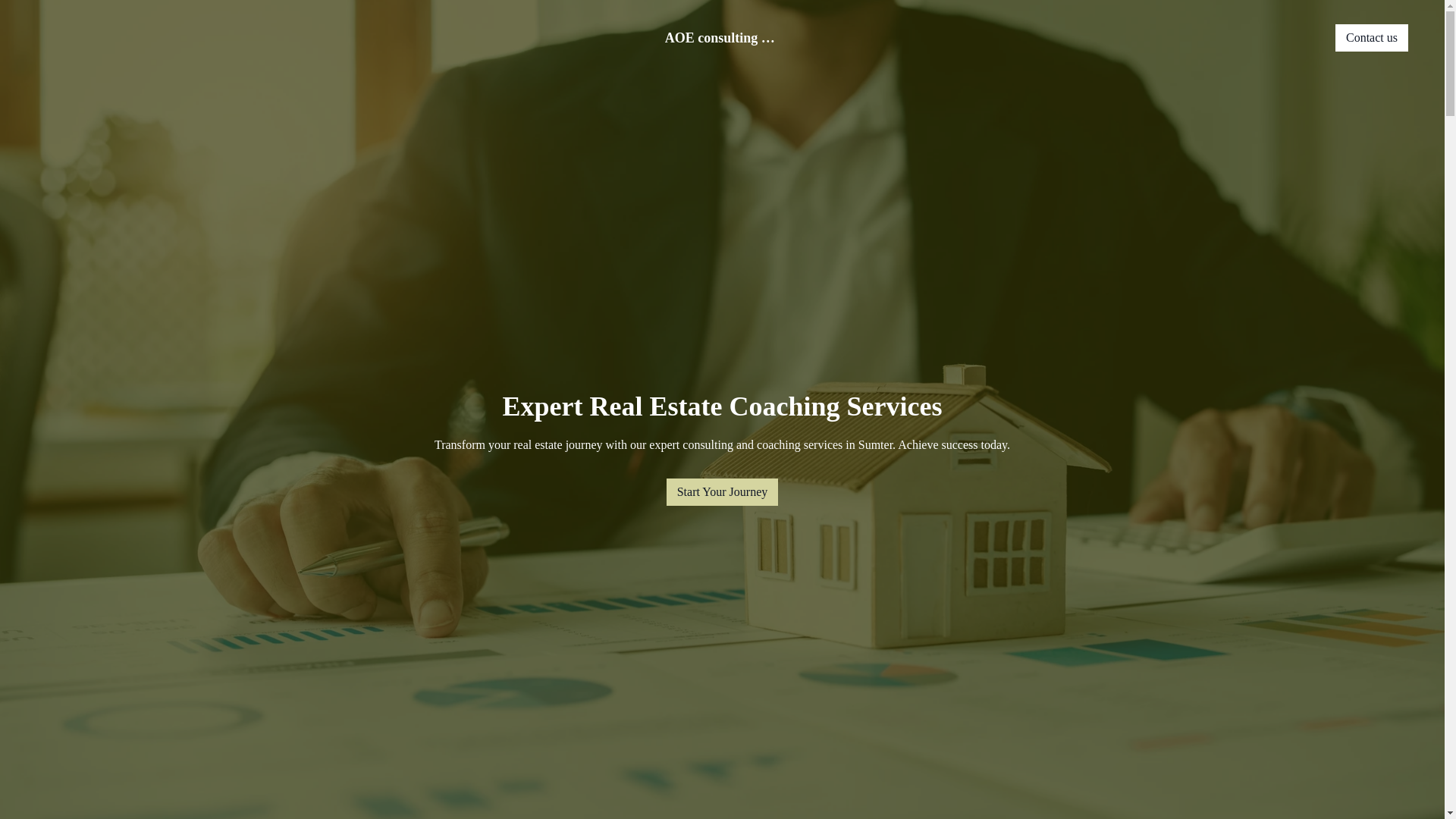 website screenshot of https://aoeconsultingcompany.com/