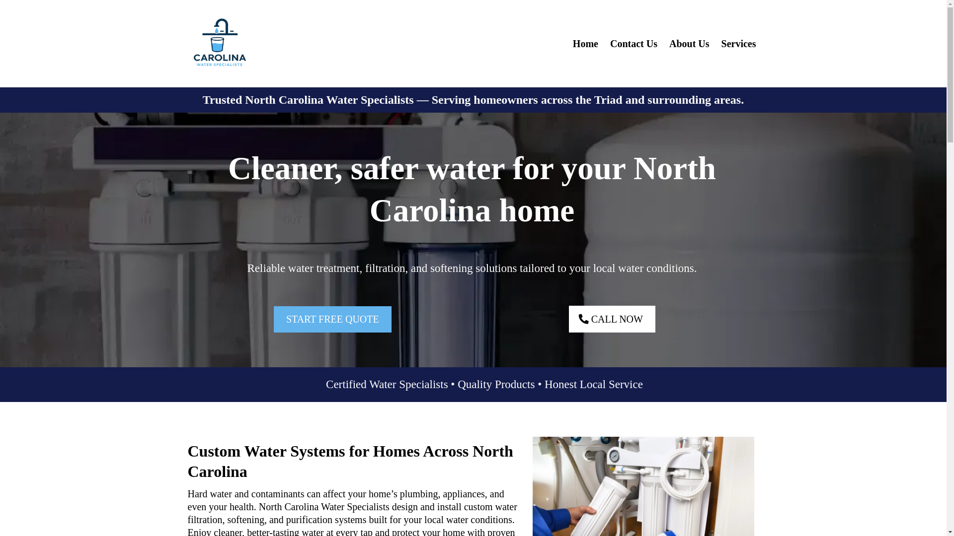 website screenshot of https://carolinawaterspecialists.com/