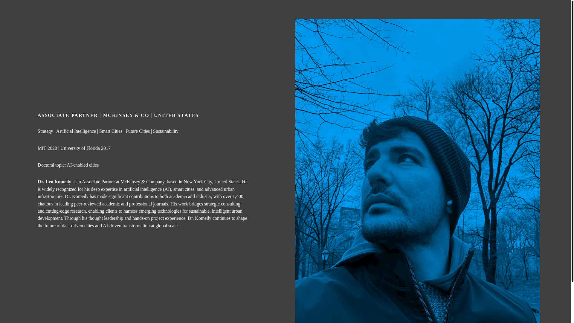website screenshot of https://leokomeily.com/