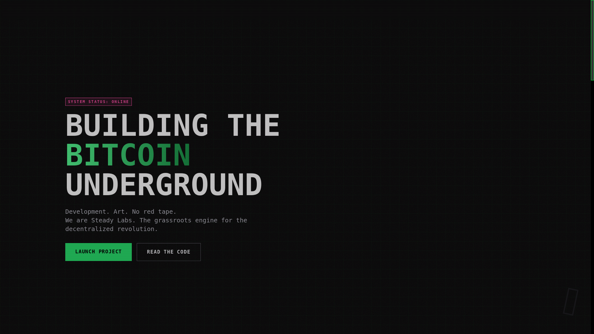 website screenshot of https://steady-labs.pages.dev/