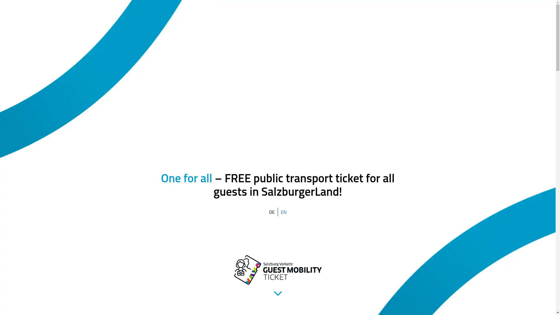 website screenshot of https://www.guestmobilityticket.at/en/