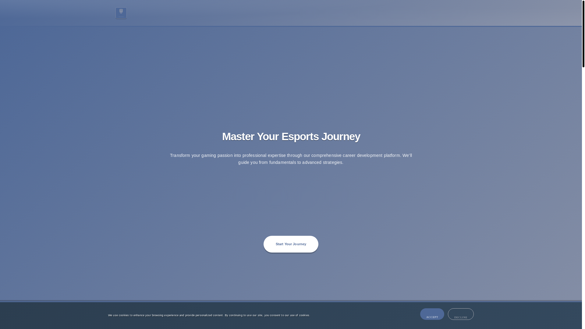 website screenshot of https://bvetus.site/