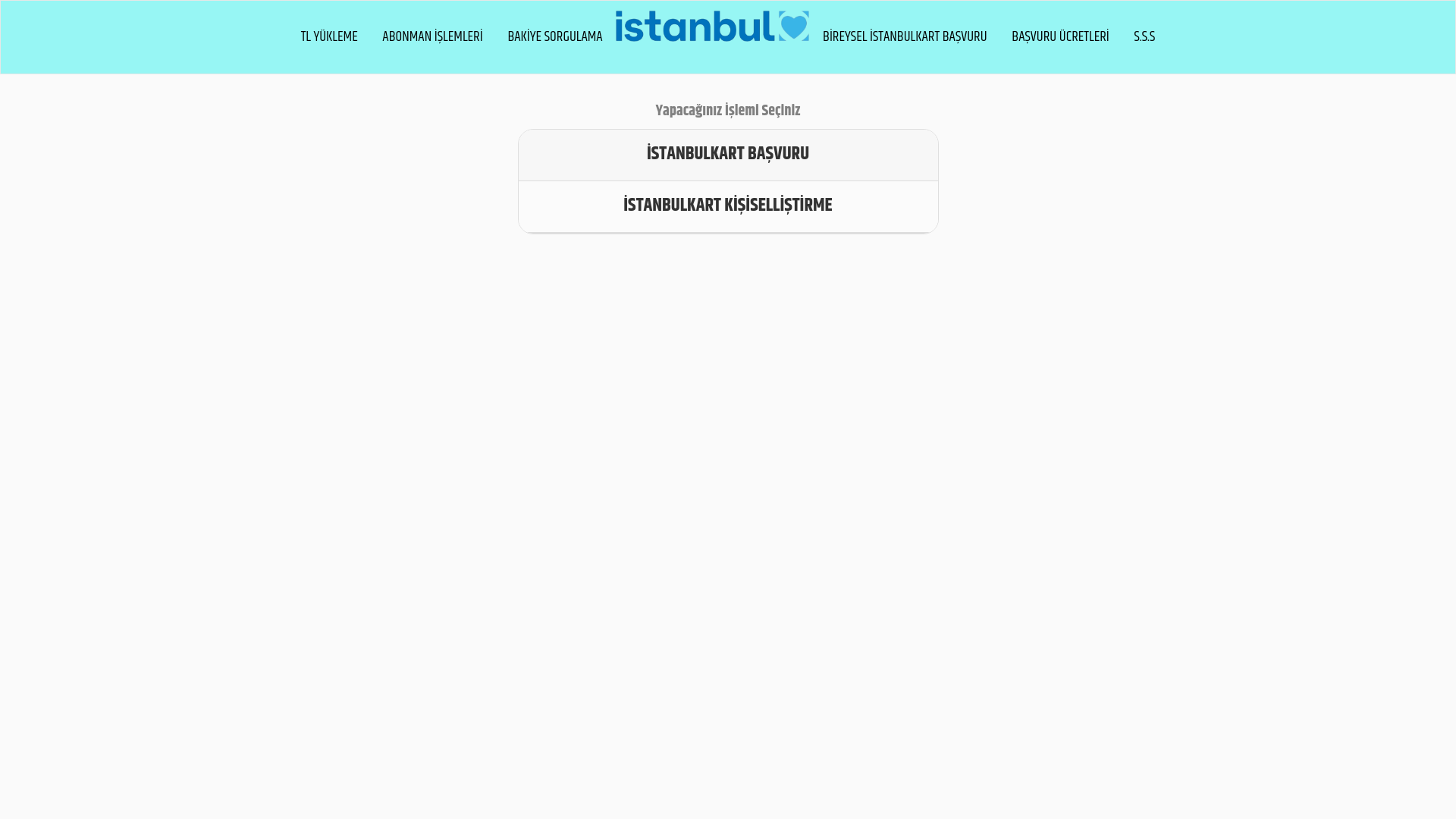 website screenshot of https://xn--itanbul-9pb.online/