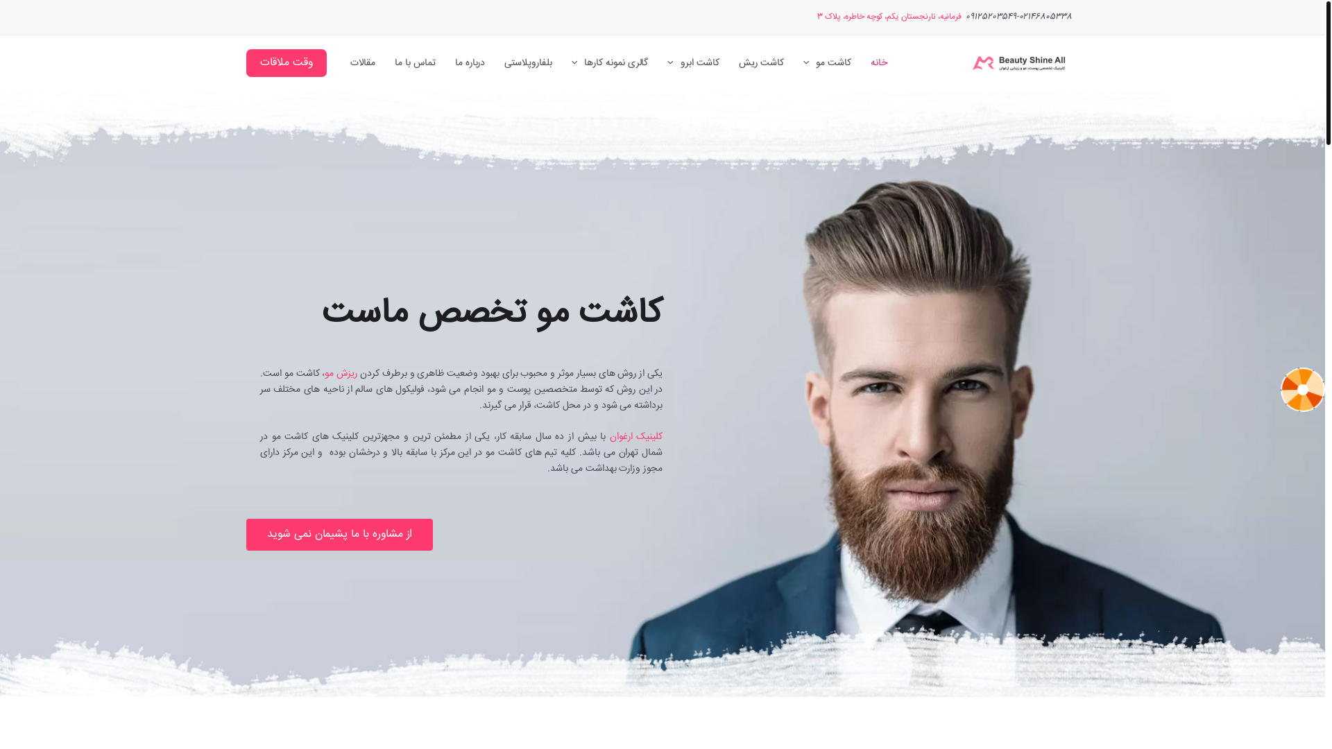 website screenshot of https://novinhamsa.ir/