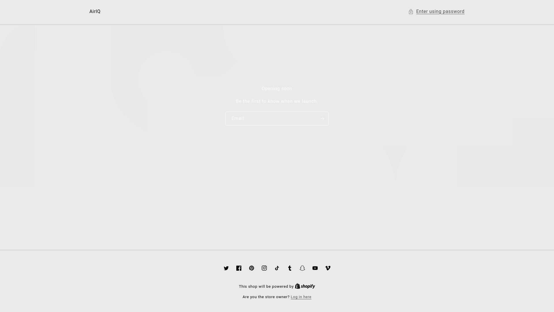 website screenshot of https://airiqcompany.store/