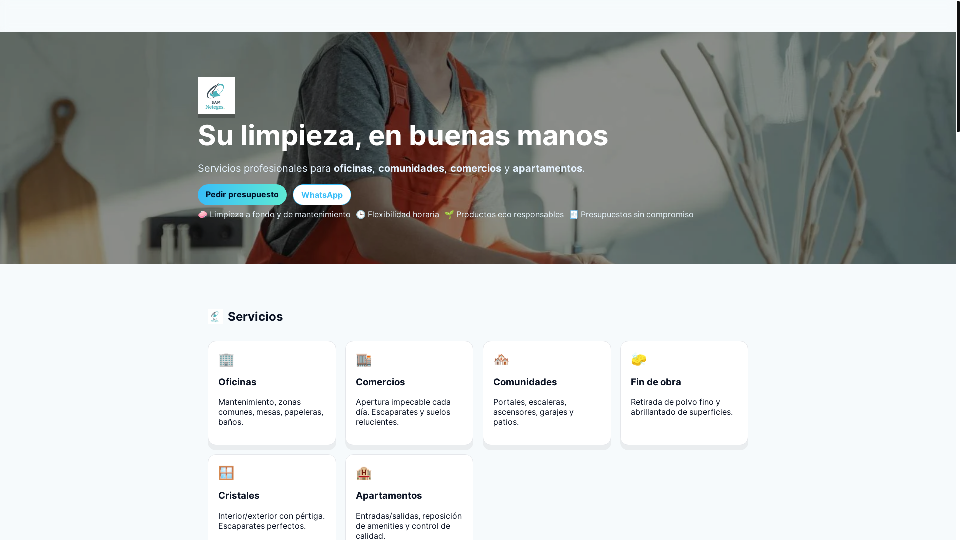 website screenshot of https://samneteges.com/
