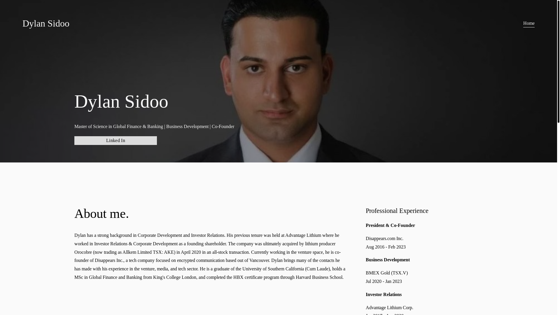 website screenshot of https://dylansidoo.ca/