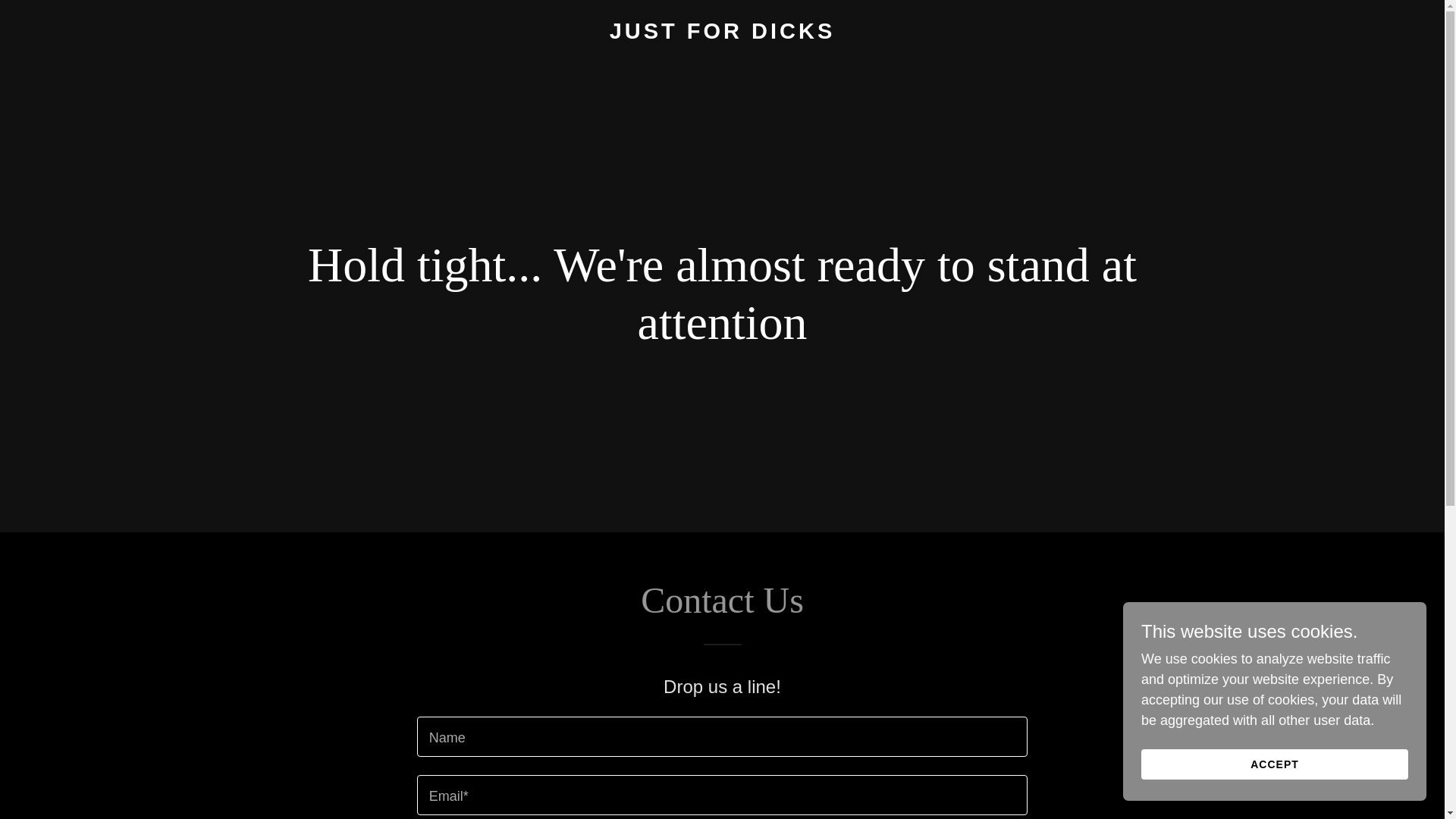 website screenshot of https://justfordicks.com/