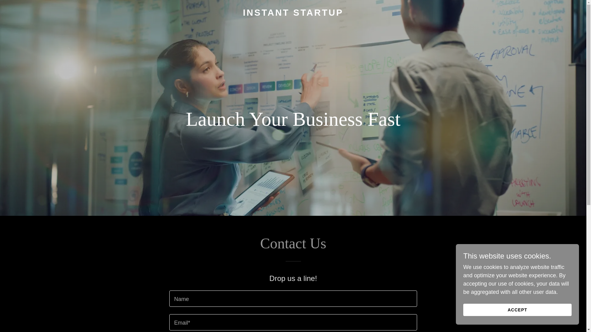 website screenshot of https://instantstartupusa.com/