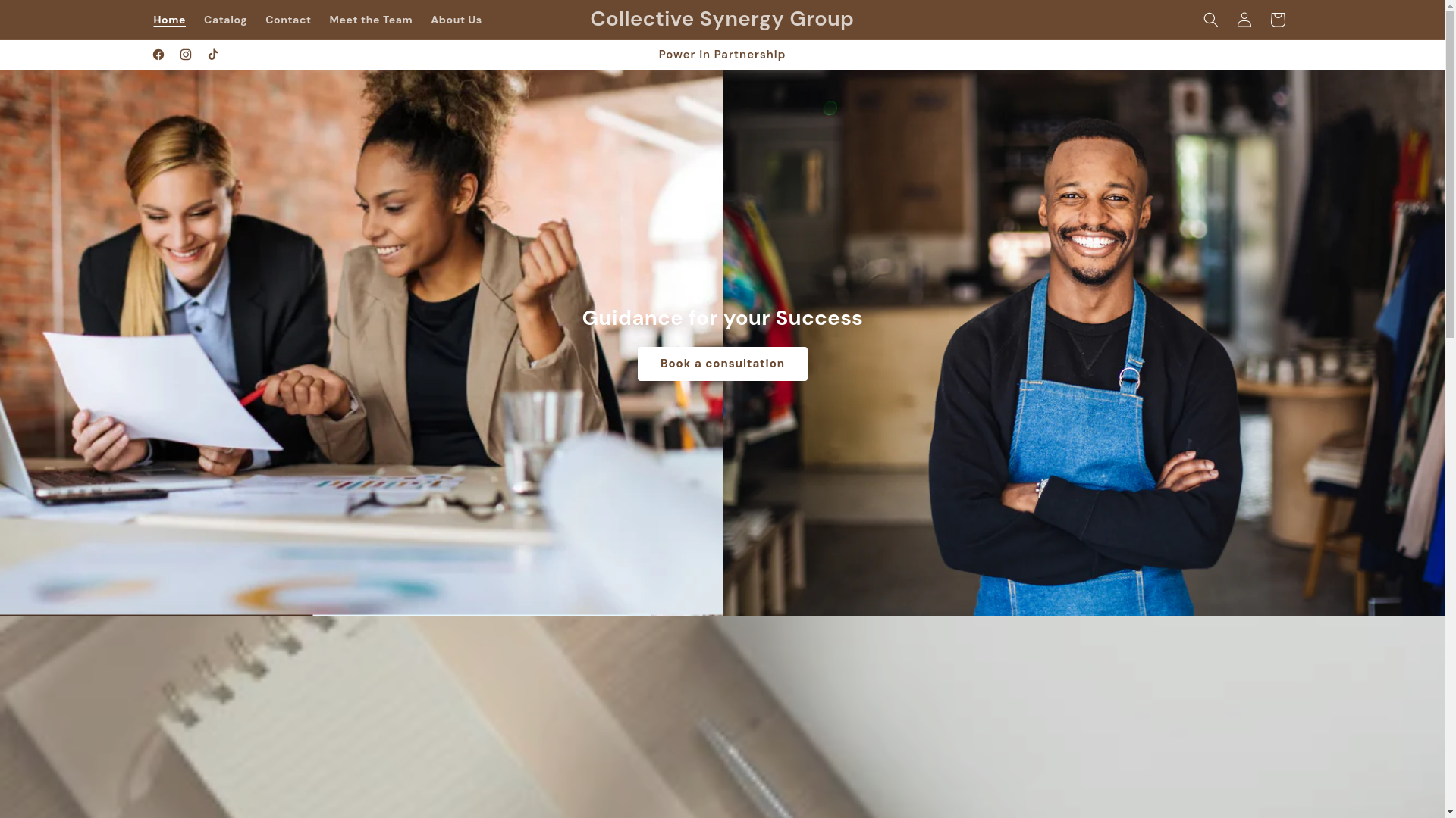 website screenshot of https://collectivesynergygroup.com/