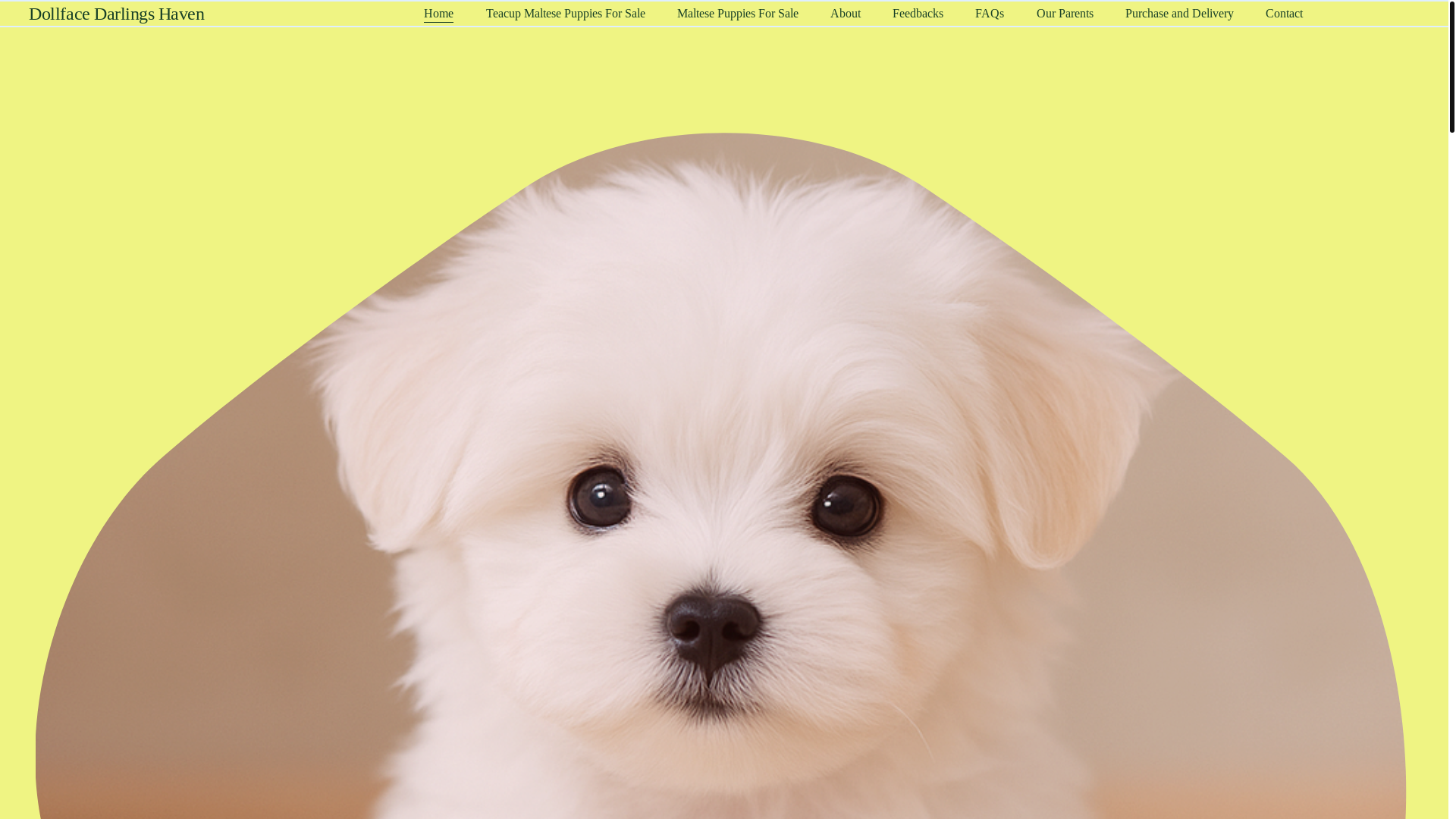 website screenshot of https://dollfacedarlingshaven.com/