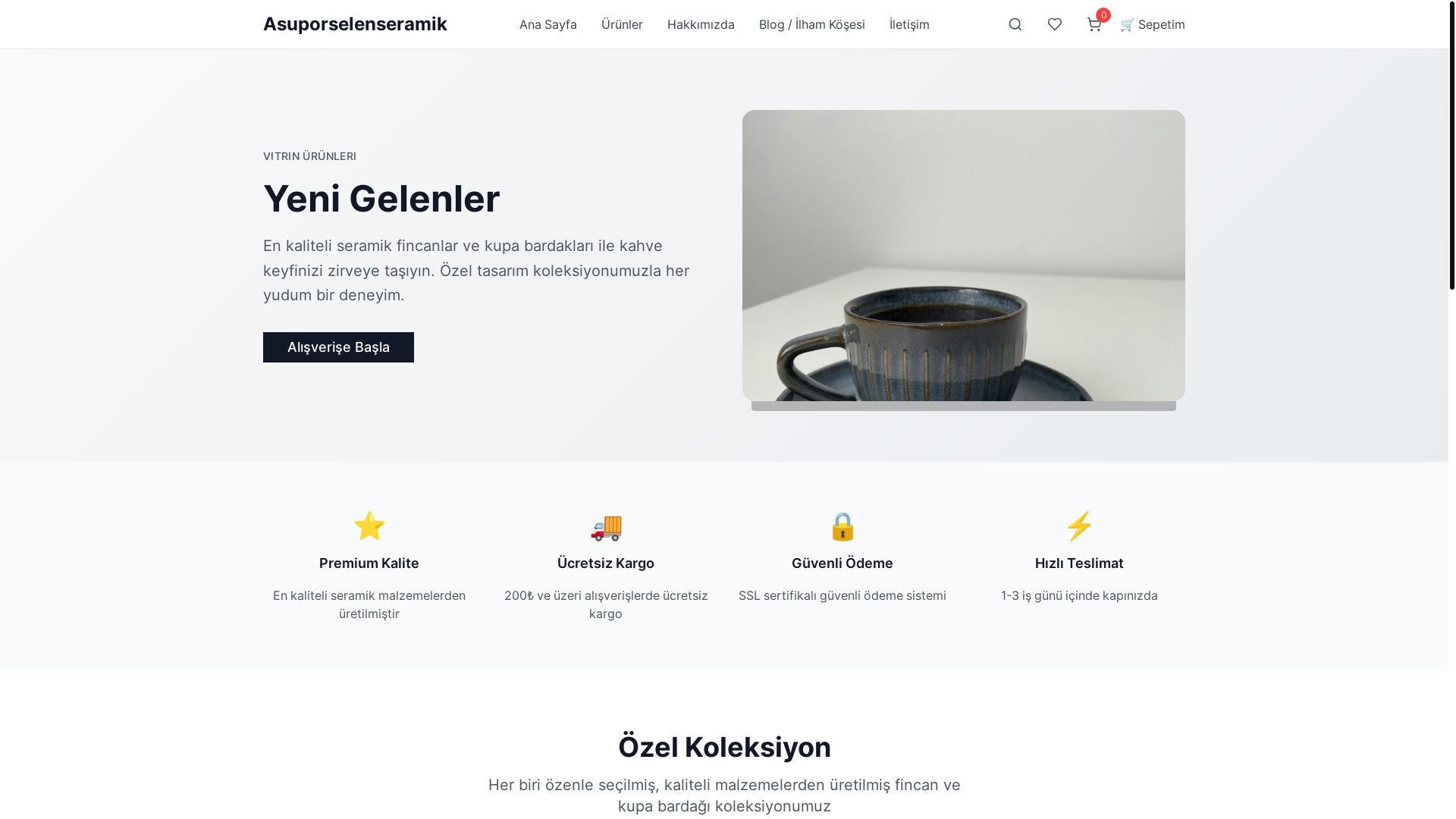 website screenshot of https://asuporselenseramik.com/