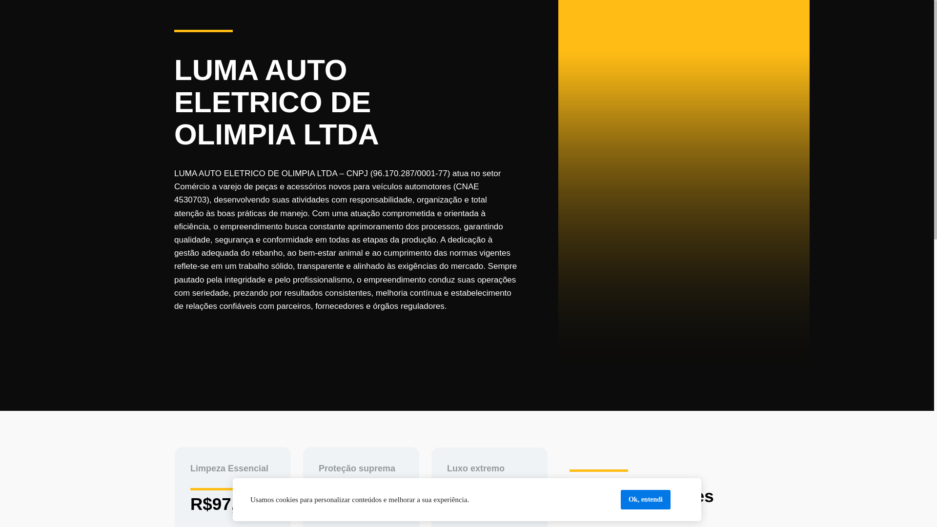 website screenshot of https://lumaautoeletrica.site/