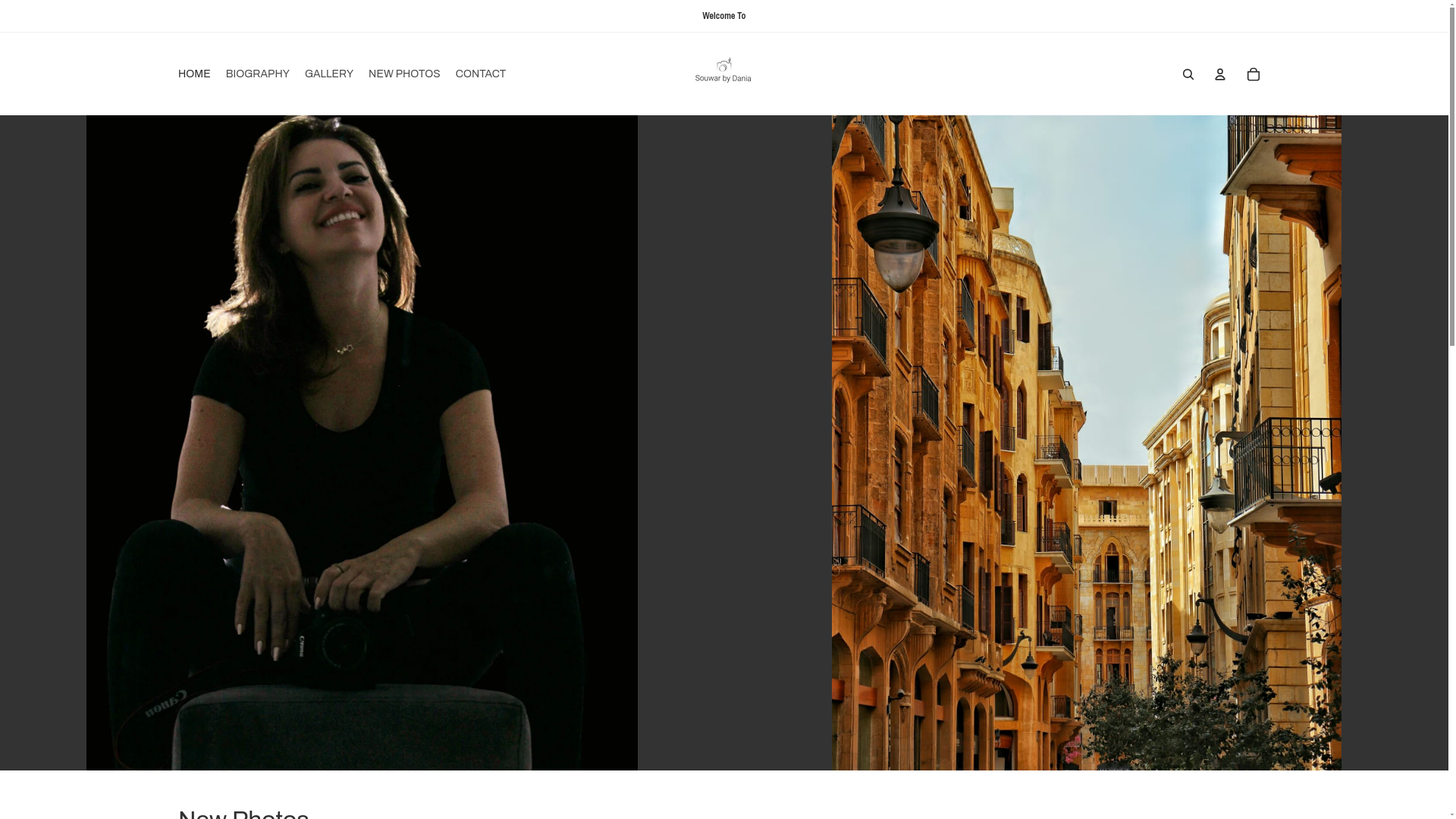 website screenshot of https://souwarbydania.com/