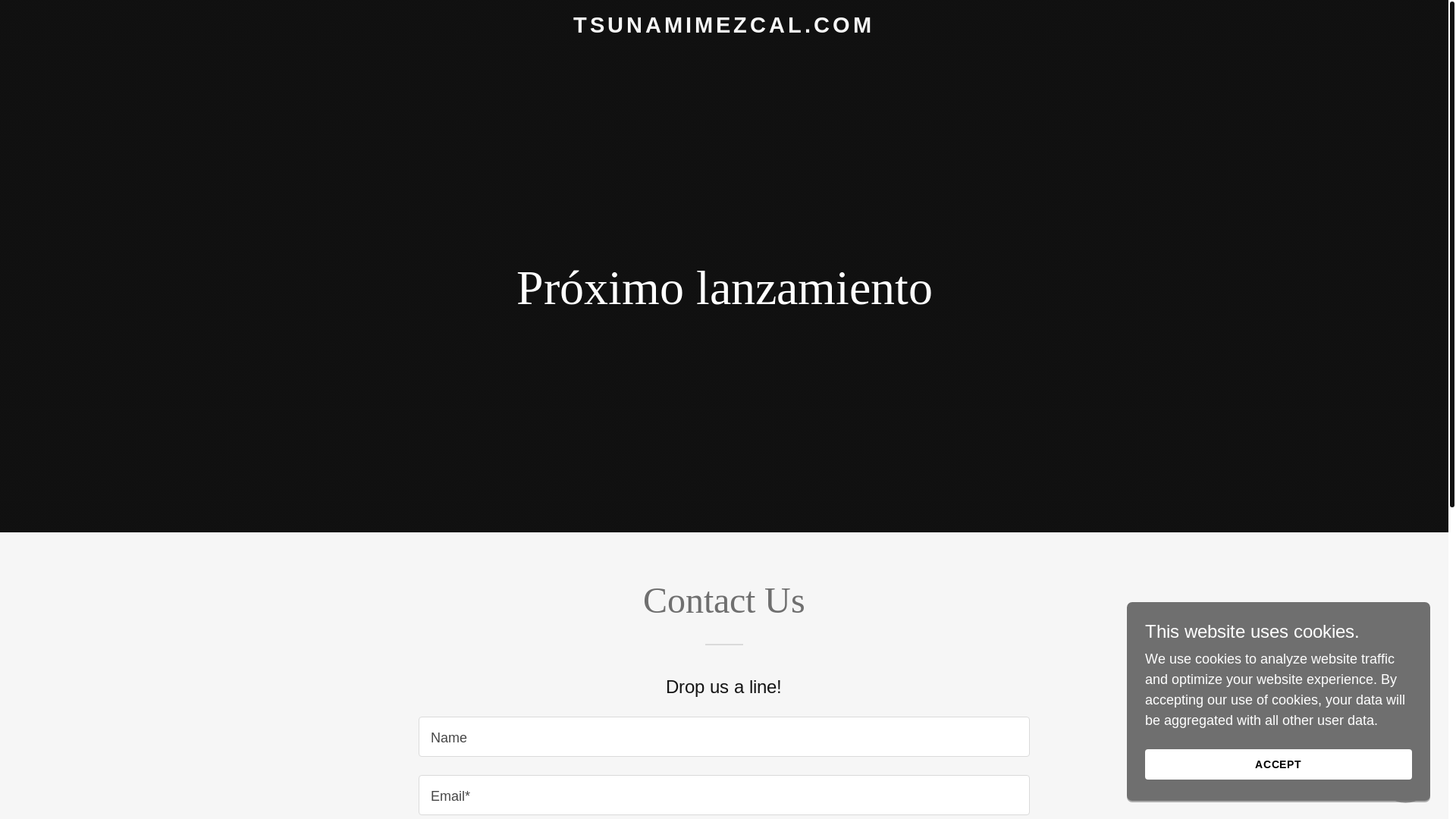 website screenshot of https://tsunamimezcal.mx/