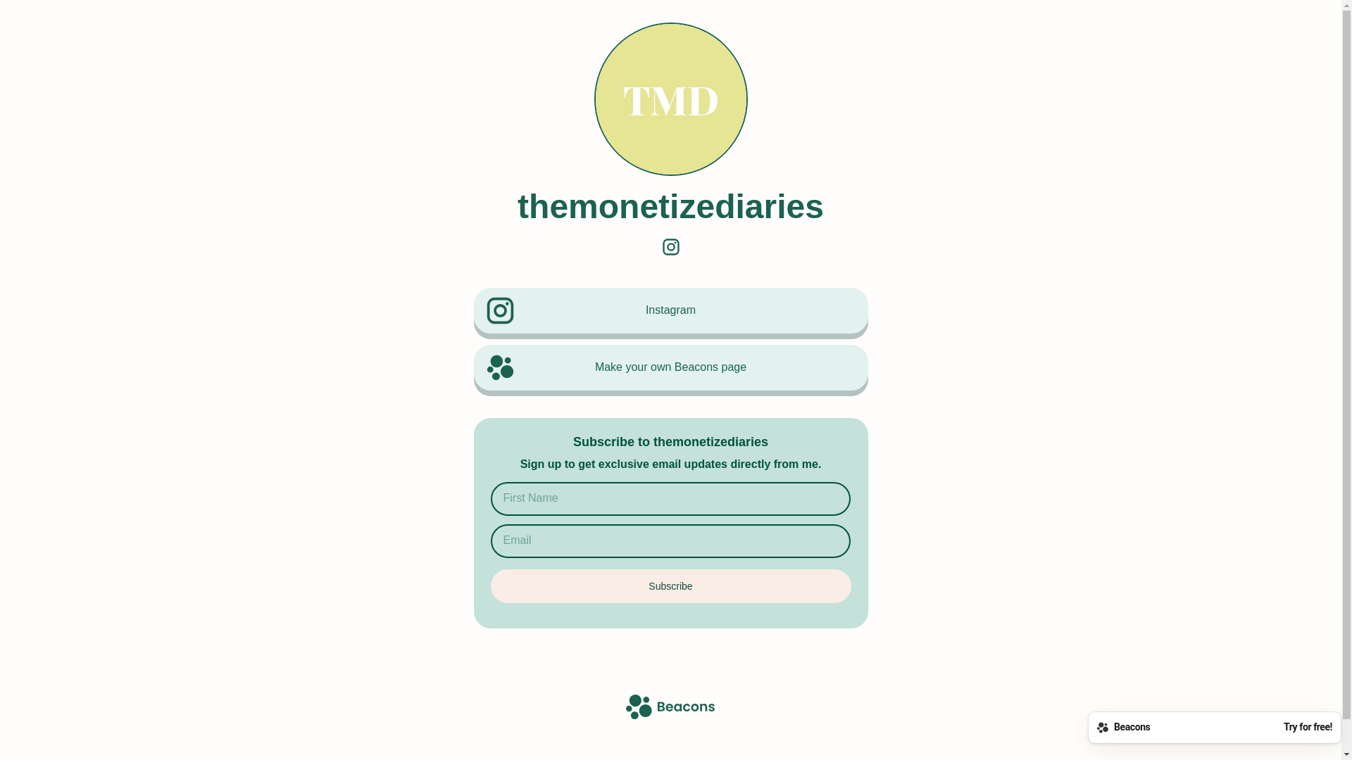 website screenshot of https://themonetizediaries.com/