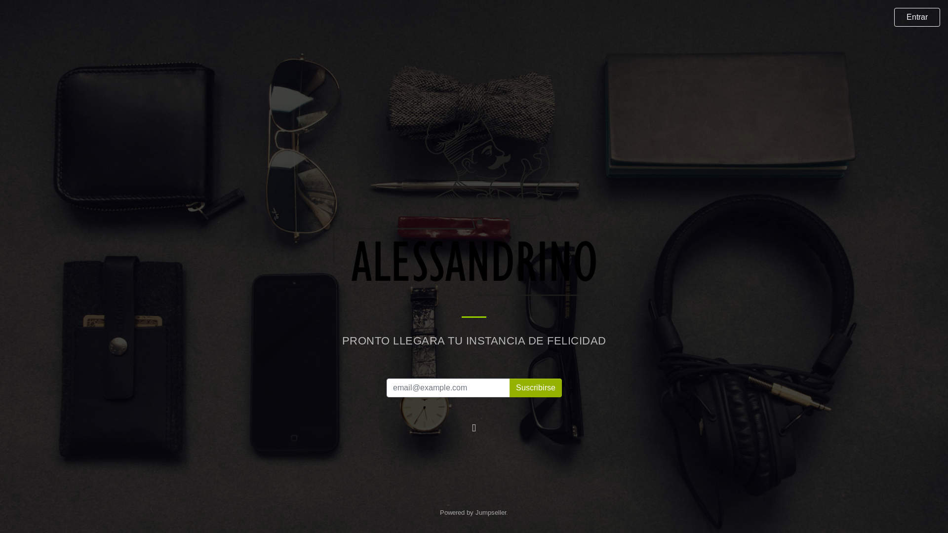 website screenshot of https://alessandrino.cl/
