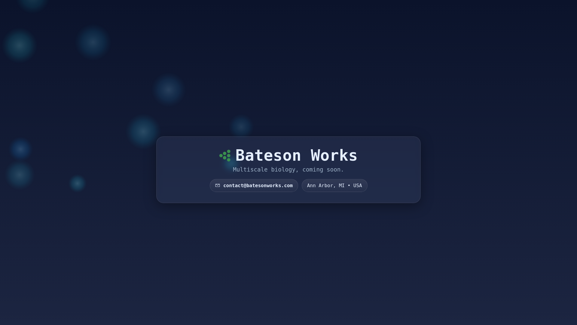 website screenshot of https://batesonworks.pages.dev/