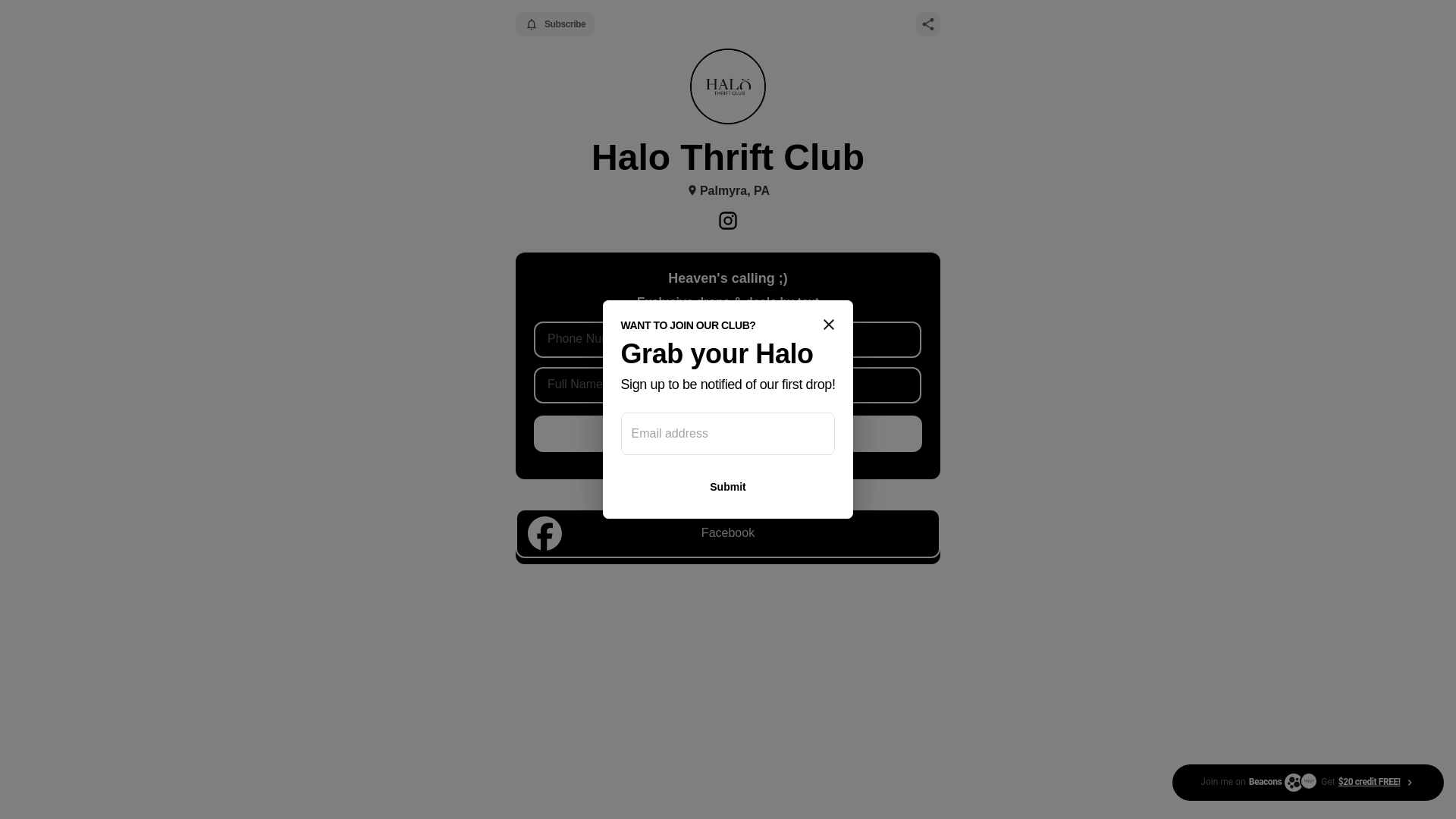 website screenshot of https://halothriftclub.com/