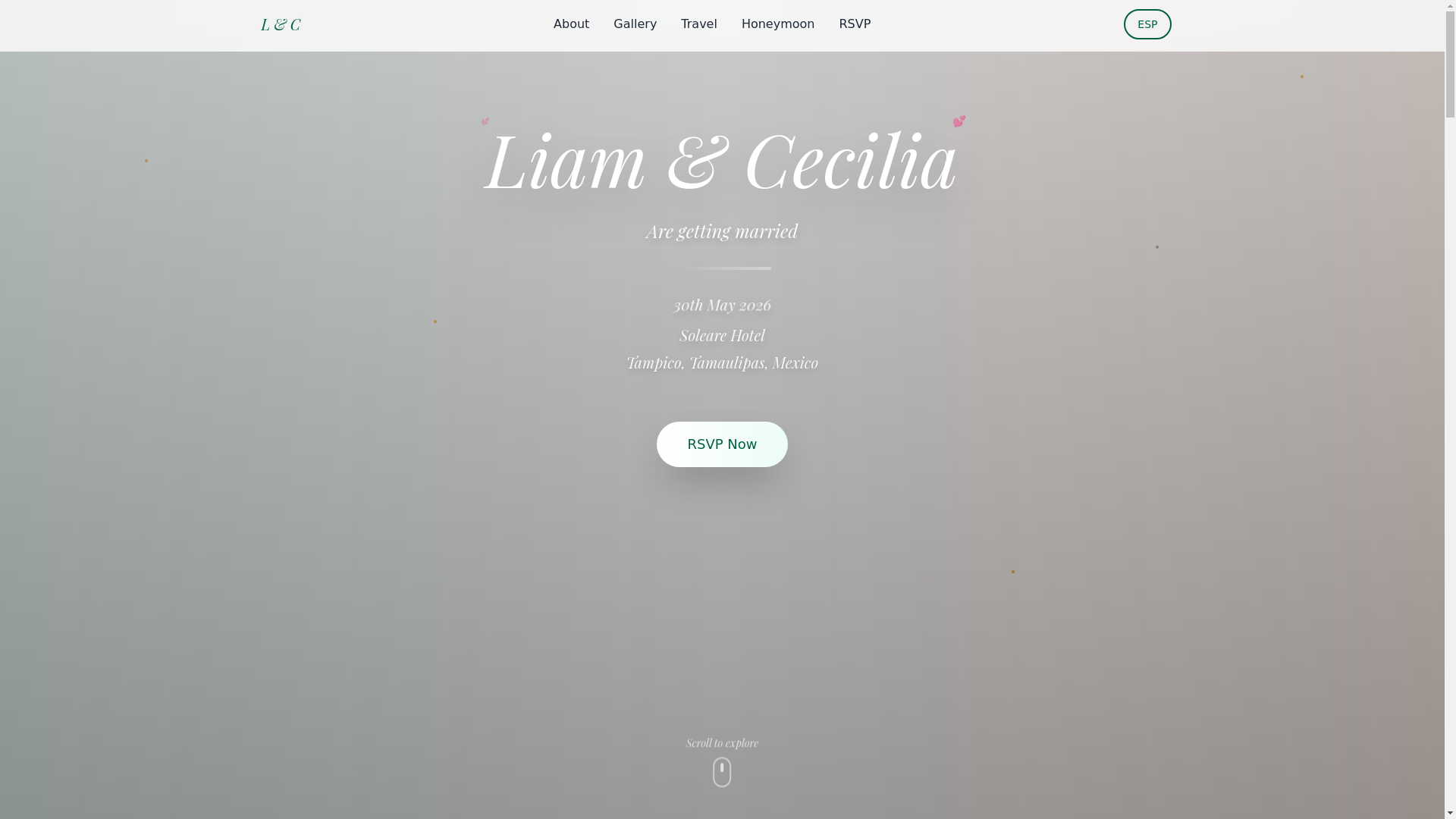 website screenshot of https://liamandyani.pages.dev/