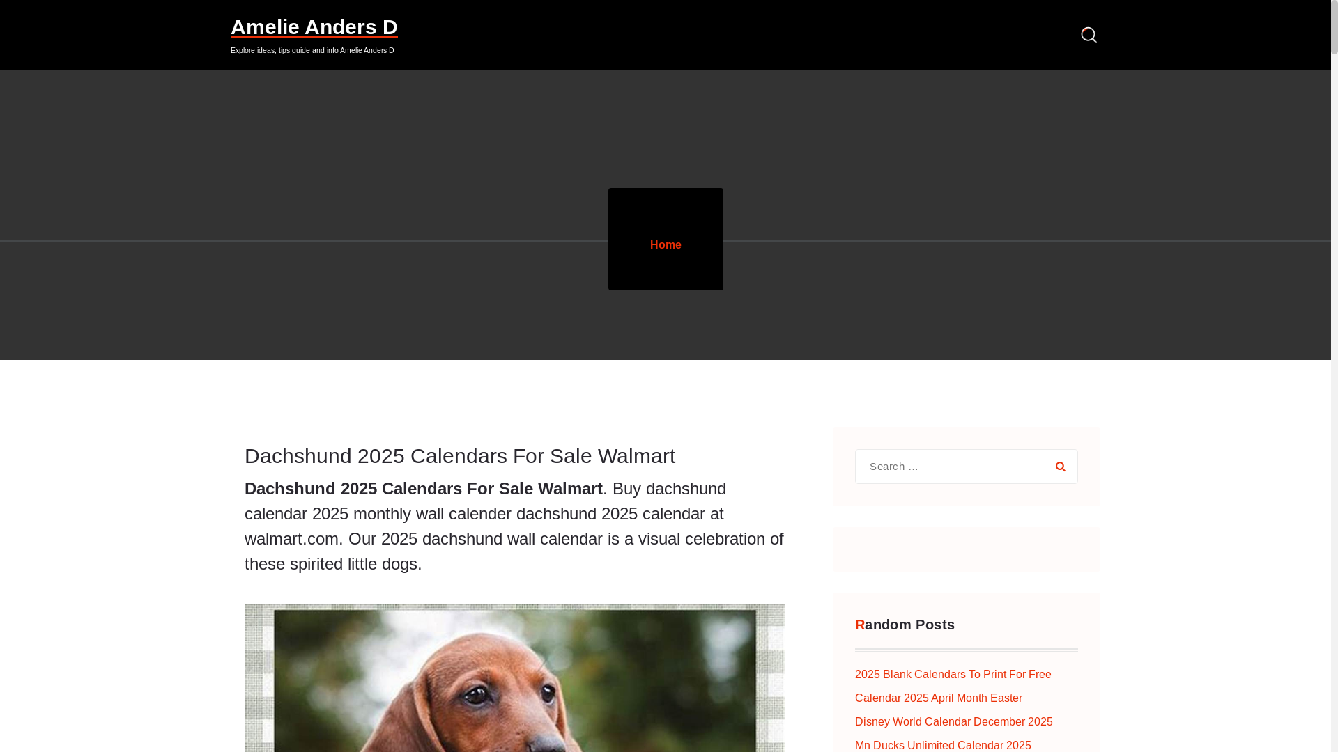 website screenshot of https://amelieandersd.pages.dev/