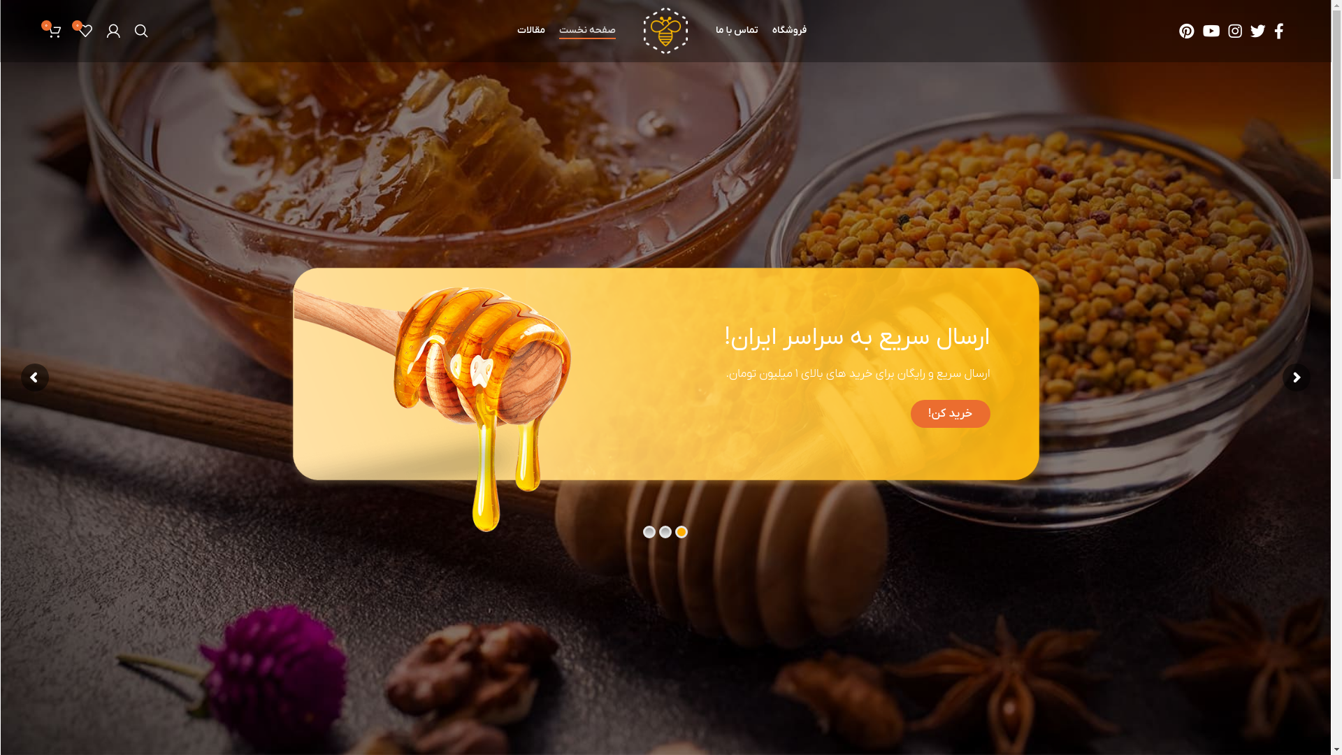 website screenshot of https://tnk-avan.ir/