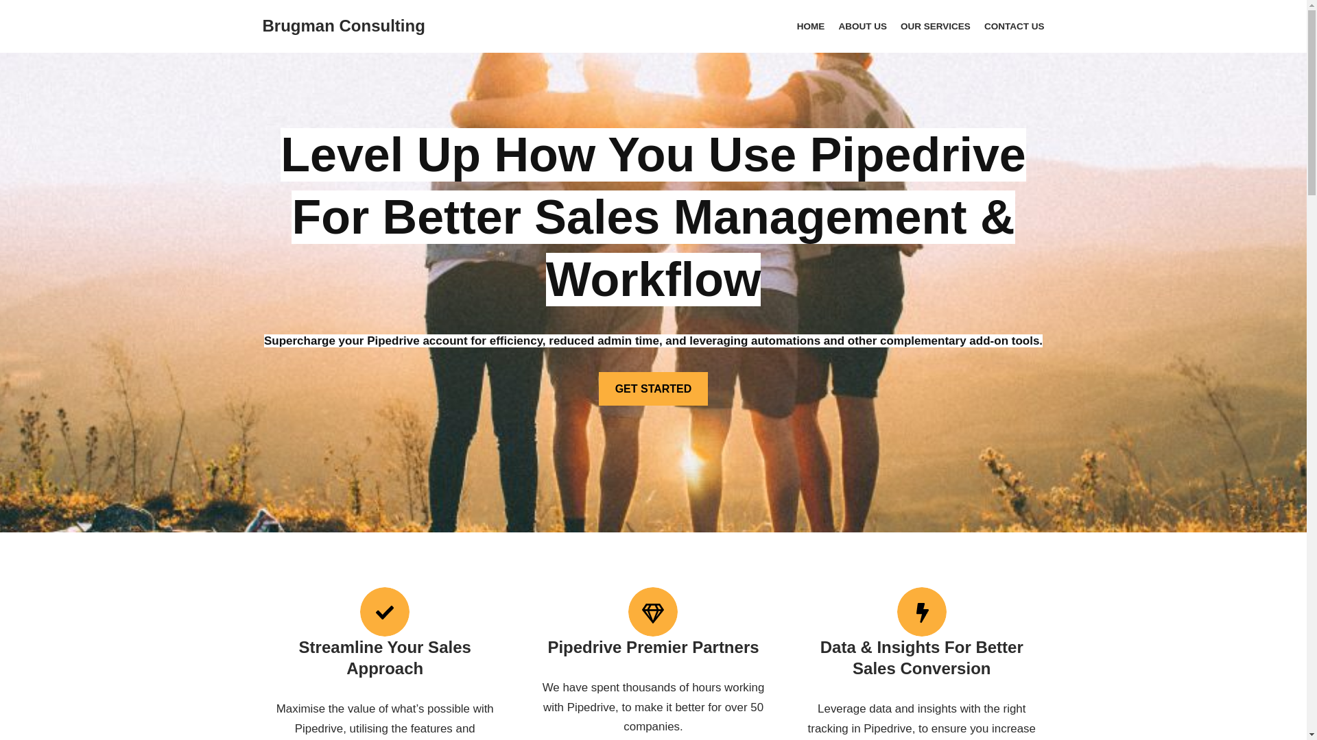 website screenshot of https://brugmanconsulting.online/