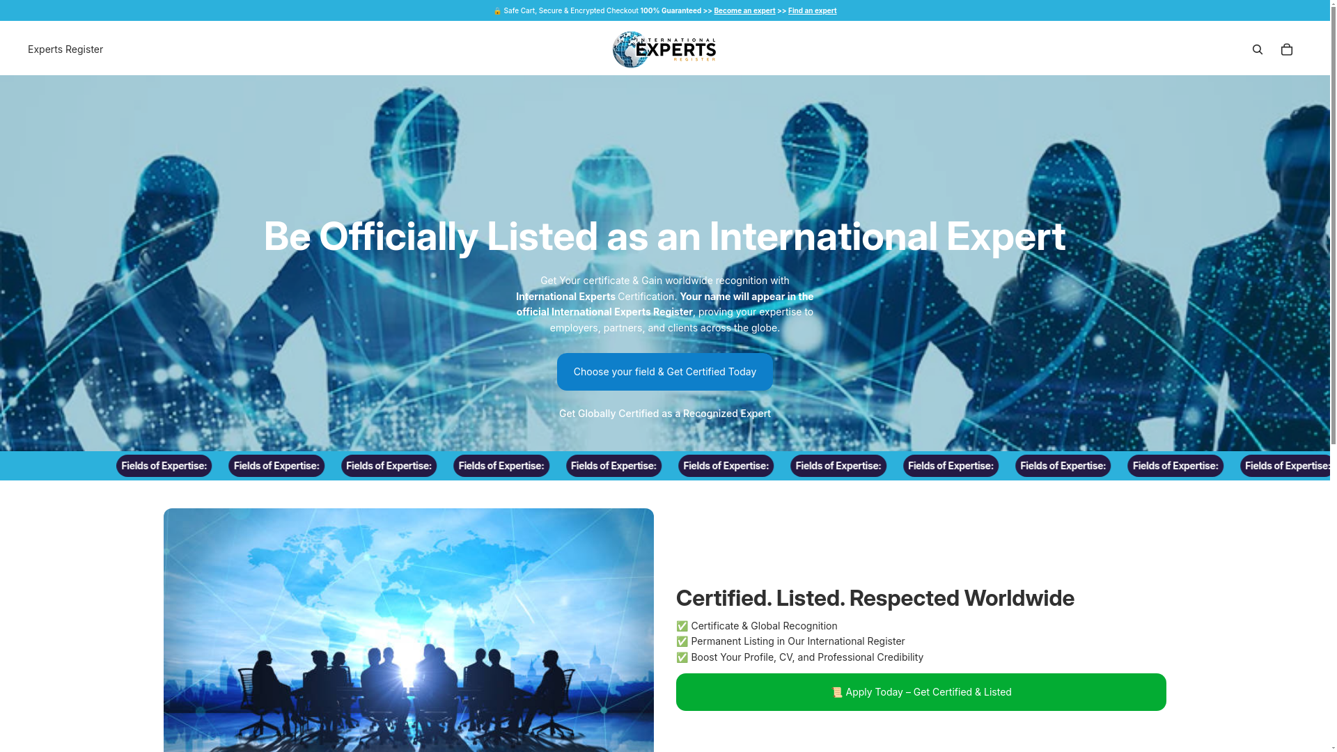 website screenshot of https://internationalexpertsregister.com/