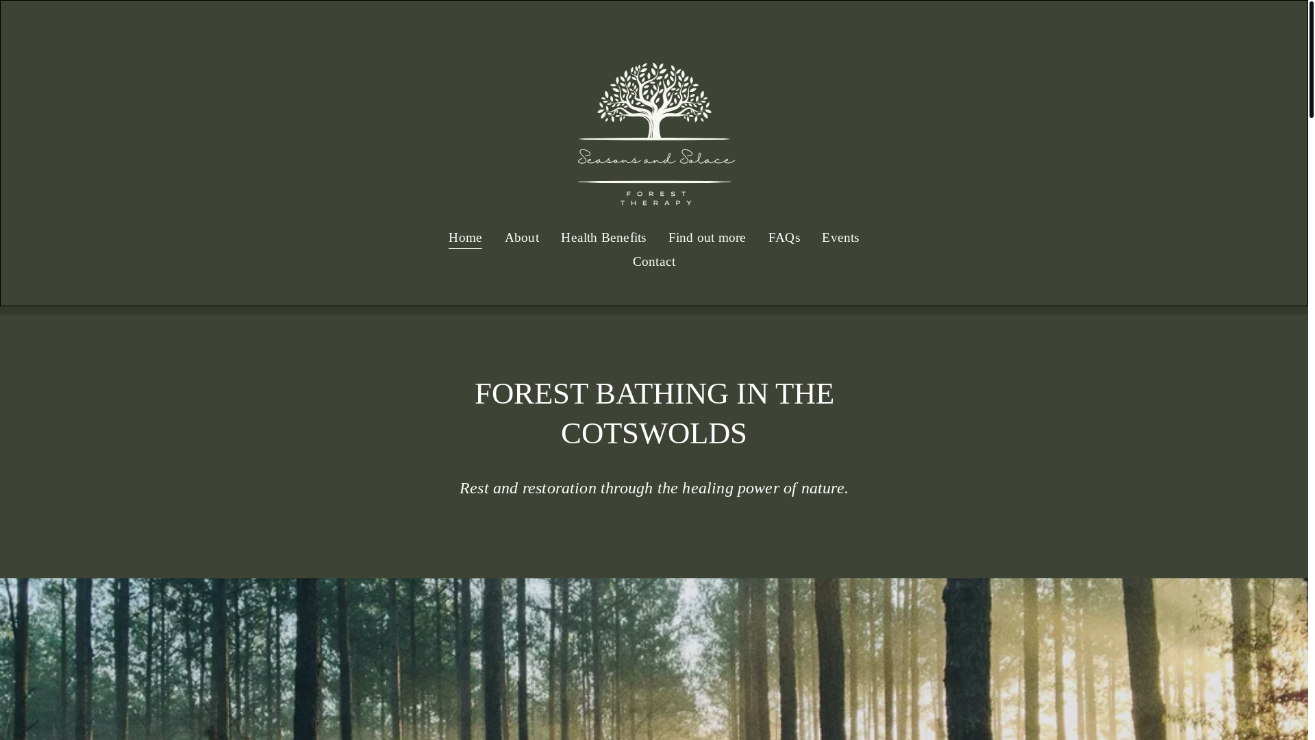 website screenshot of https://seasonssolaceforesttherapy.co.uk/