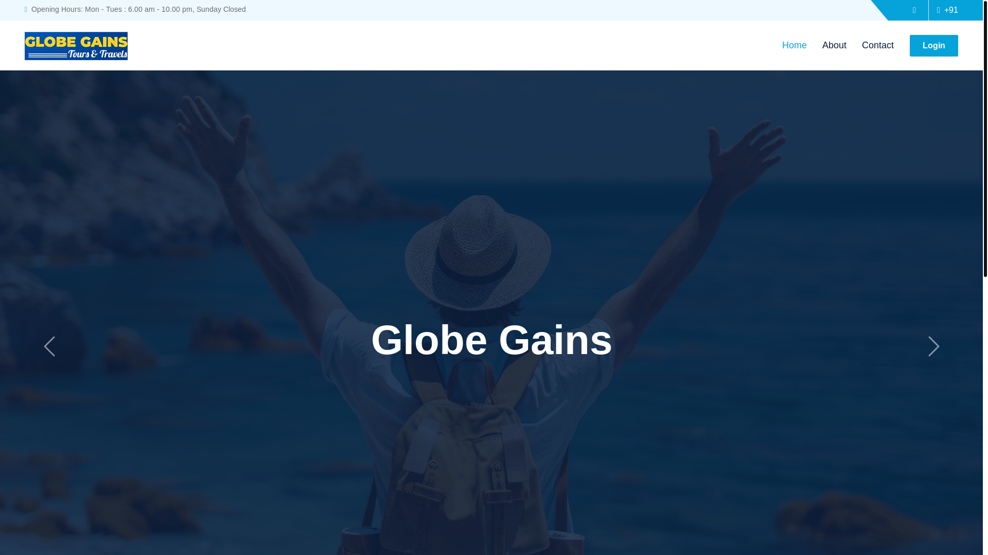 website screenshot of https://globegains.in/