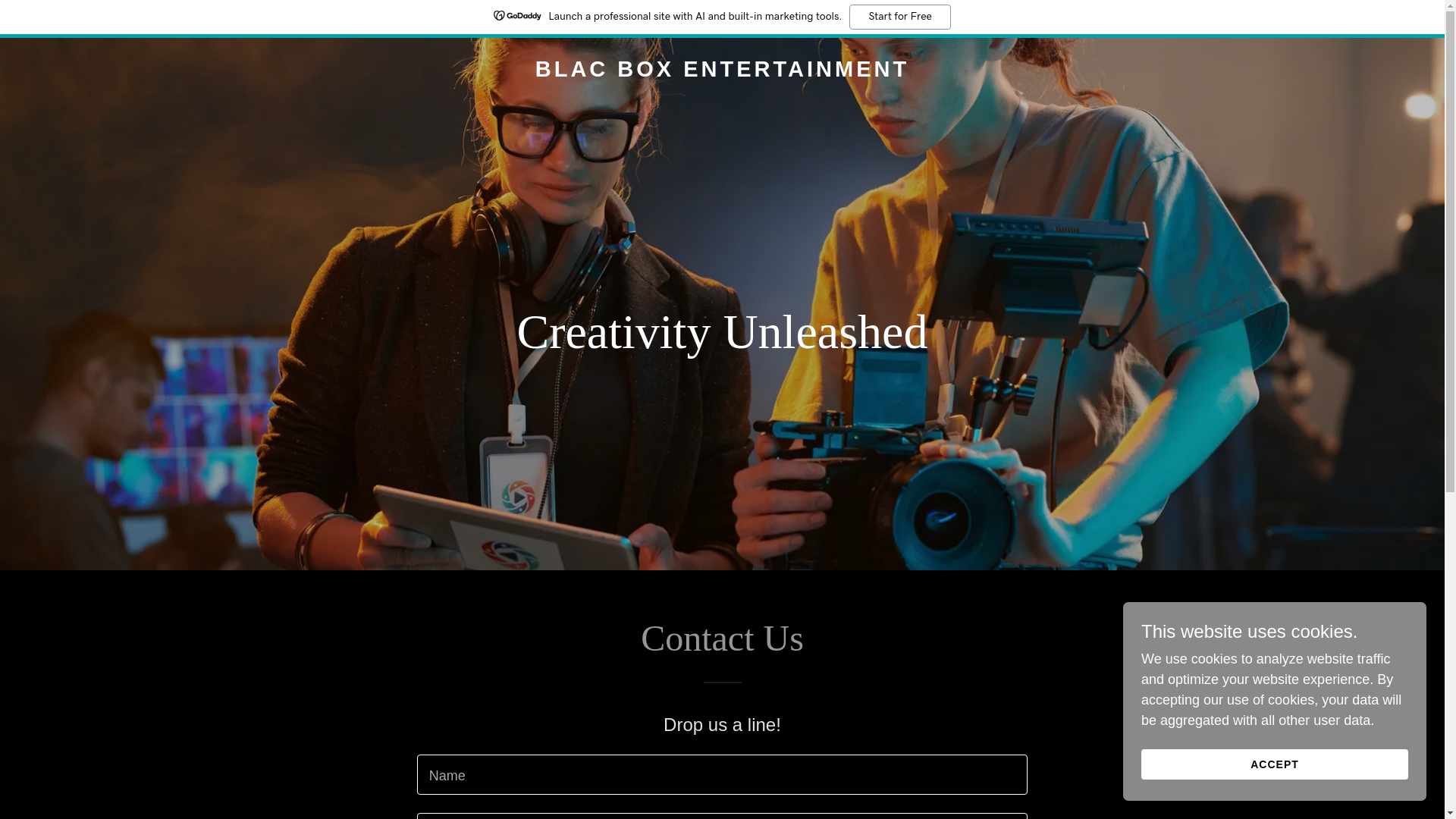 website screenshot of https://blacboxent.com/