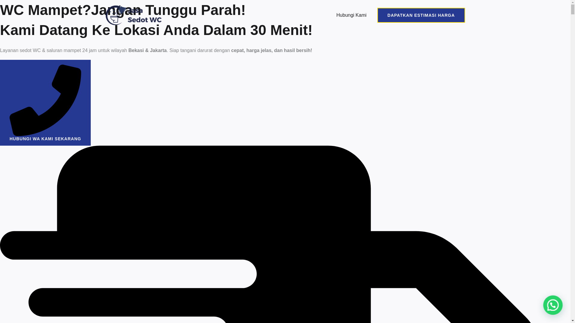 website screenshot of https://sedotwclestarijaya.site/