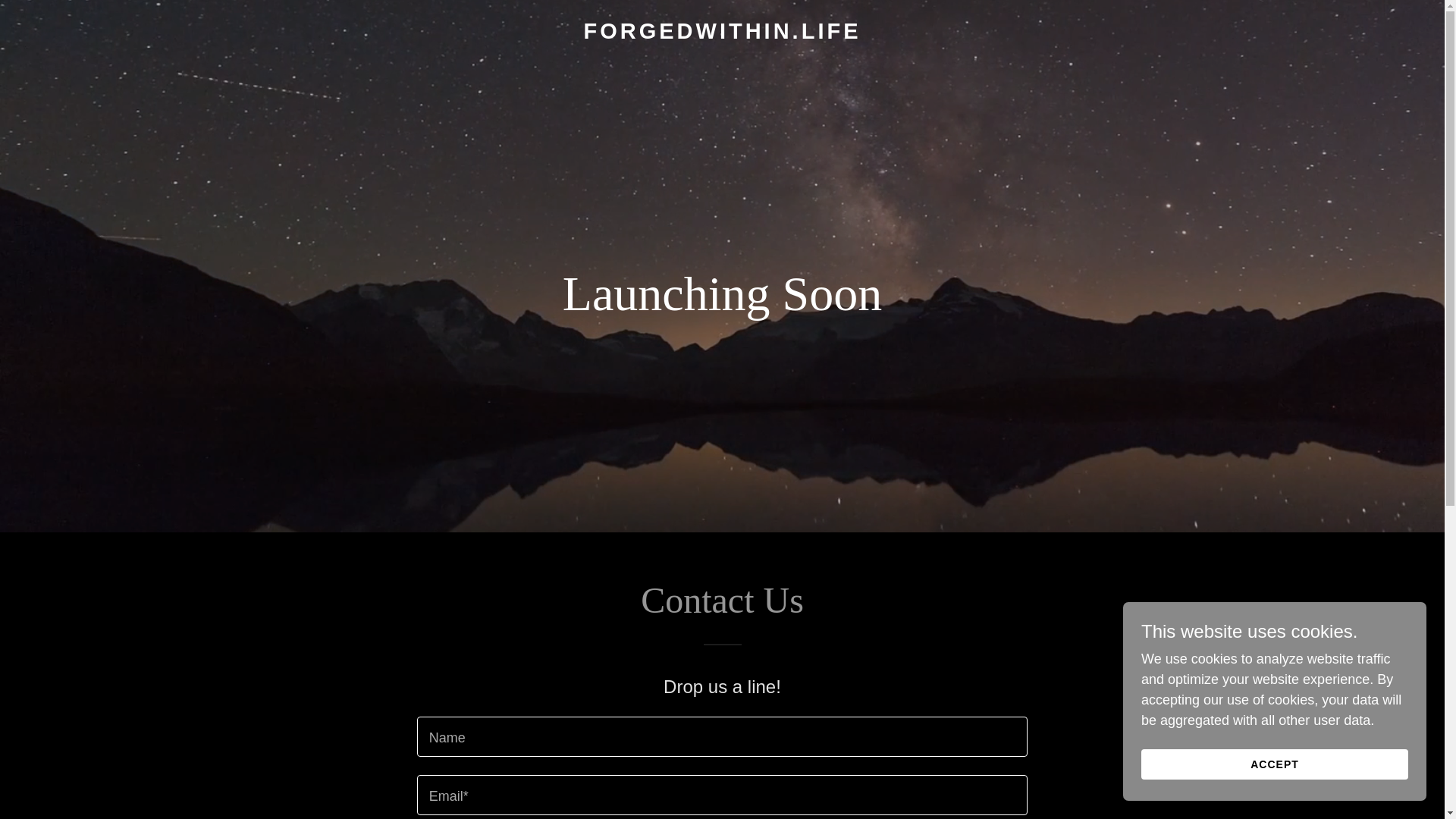 website screenshot of https://forgedwithin.life/
