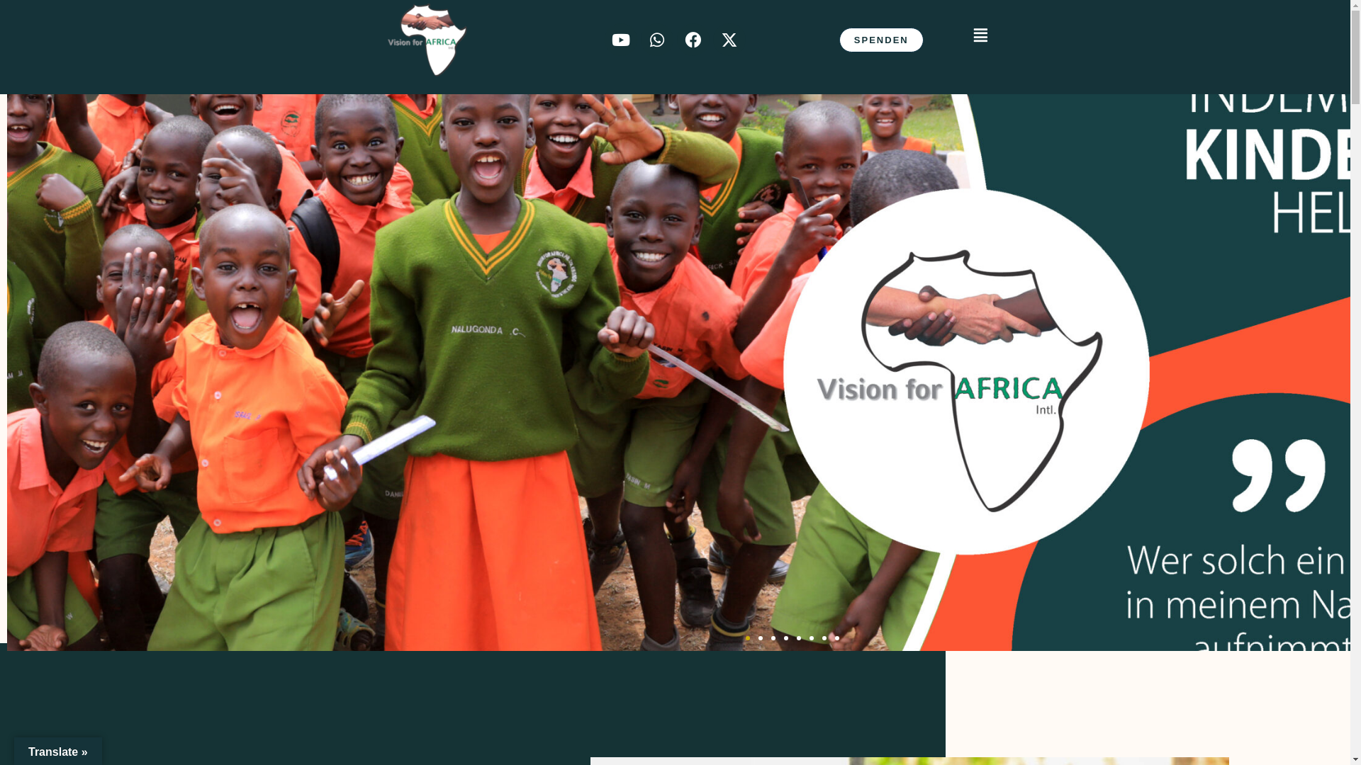 website screenshot of https://vfai.eu/
