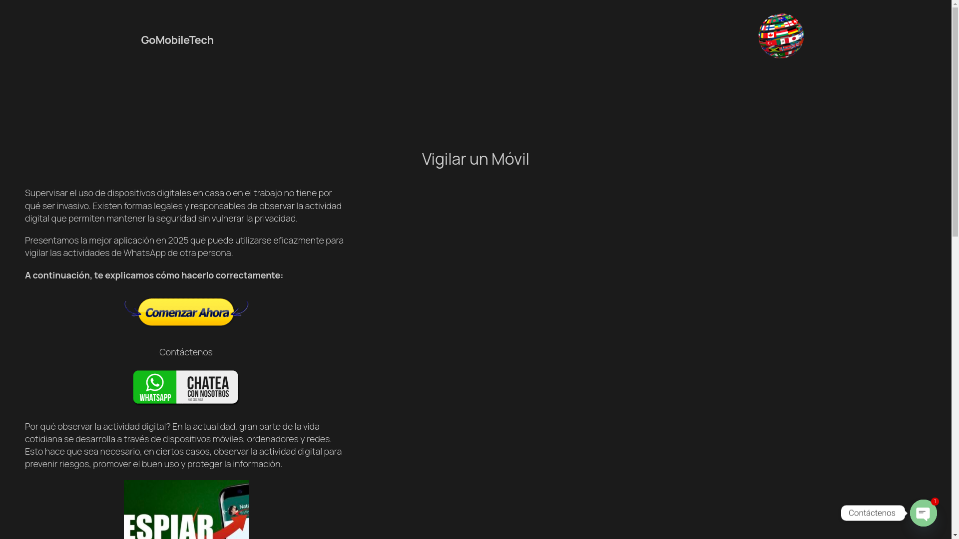 website screenshot of https://tecmovil.info/