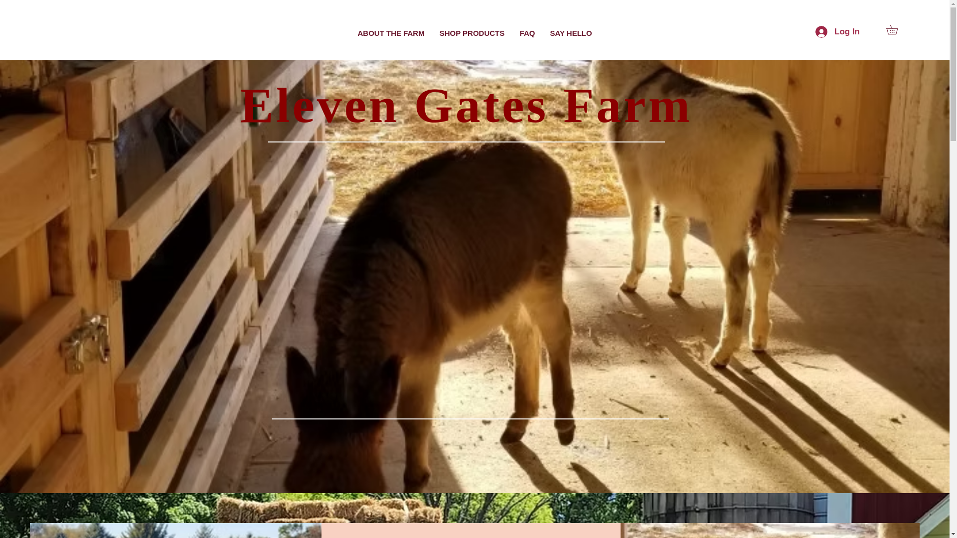 website screenshot of https://elevengatesfarm.com/