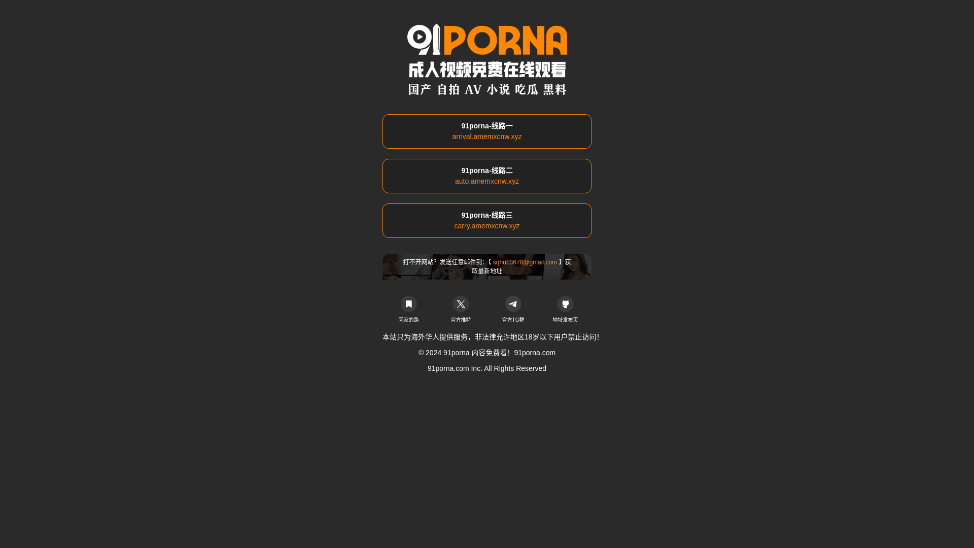 website screenshot of https://91wang108.com/